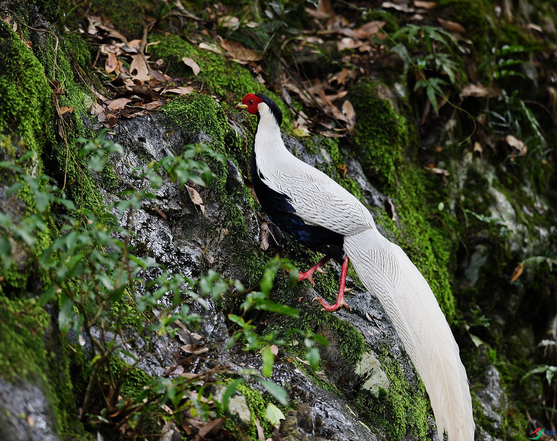DSC_3524.jpg