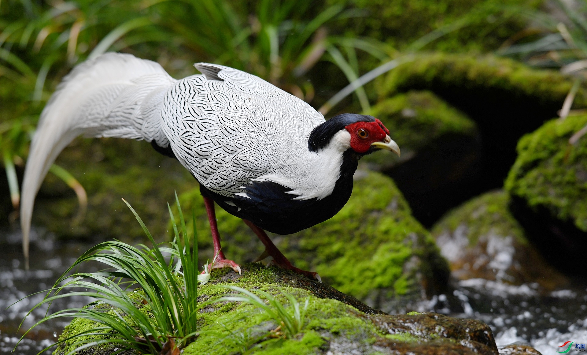 DSC_6972.jpg