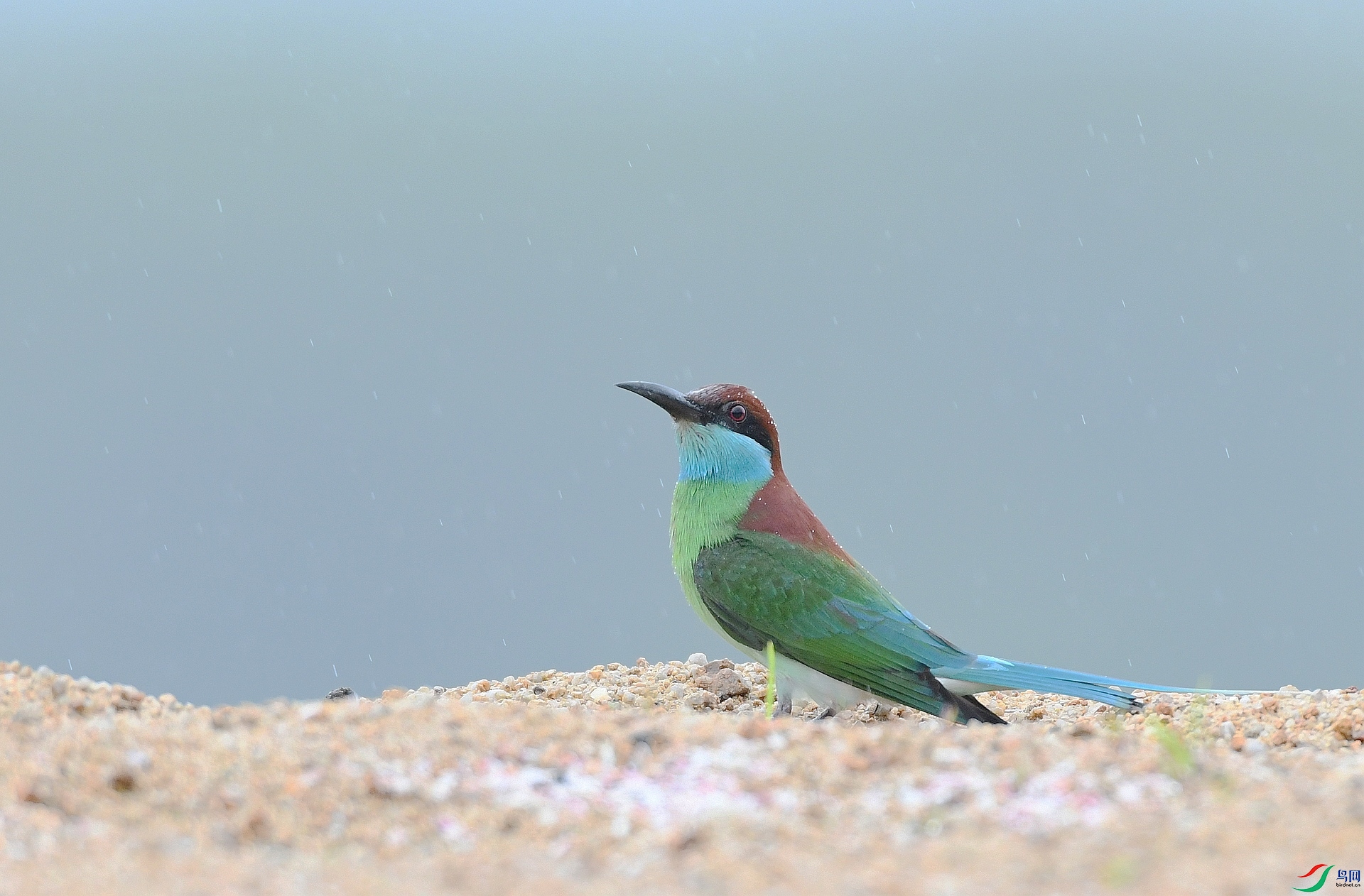 DSC_1399.jpg