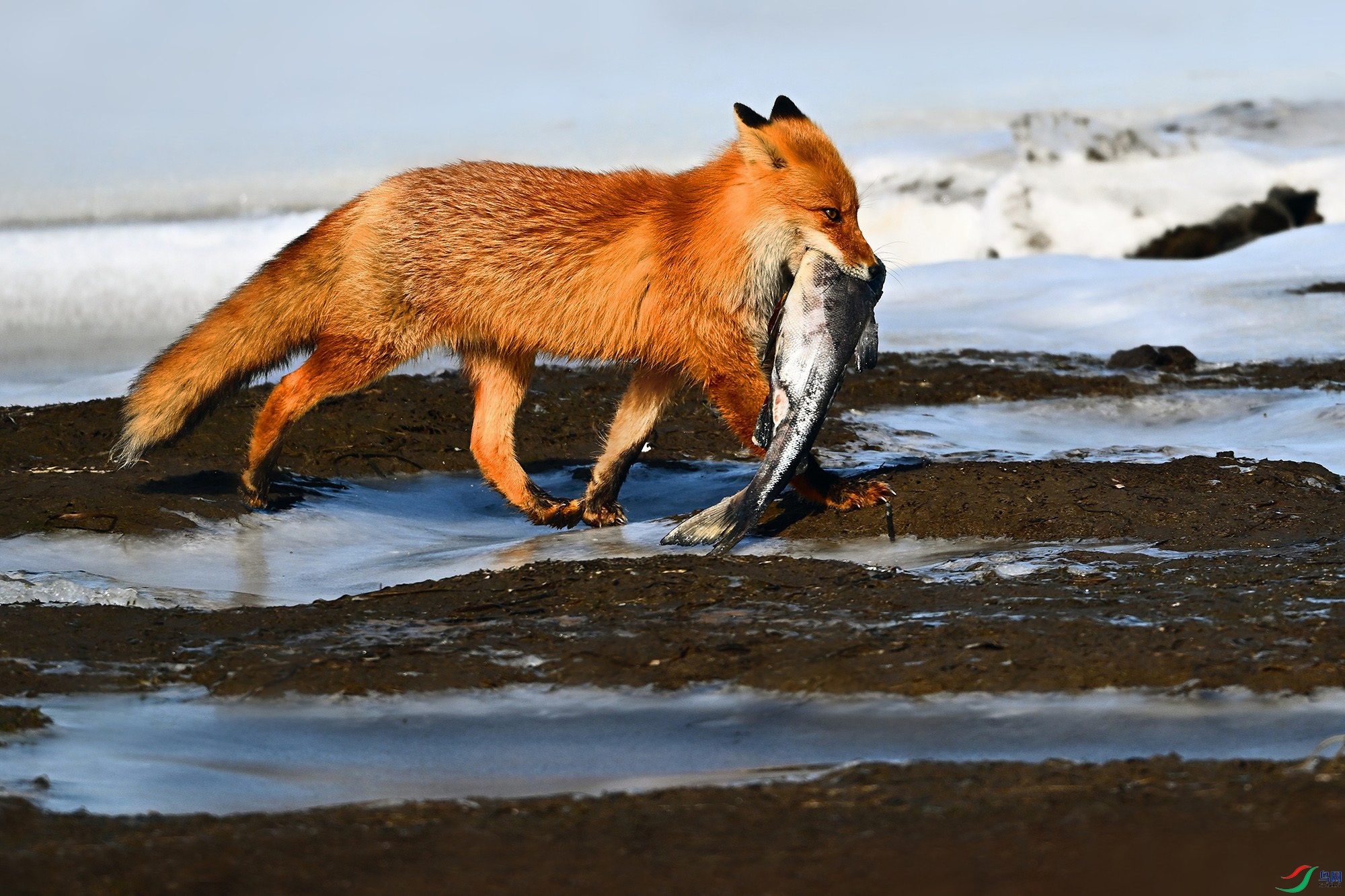 DSC_7605_.jpg