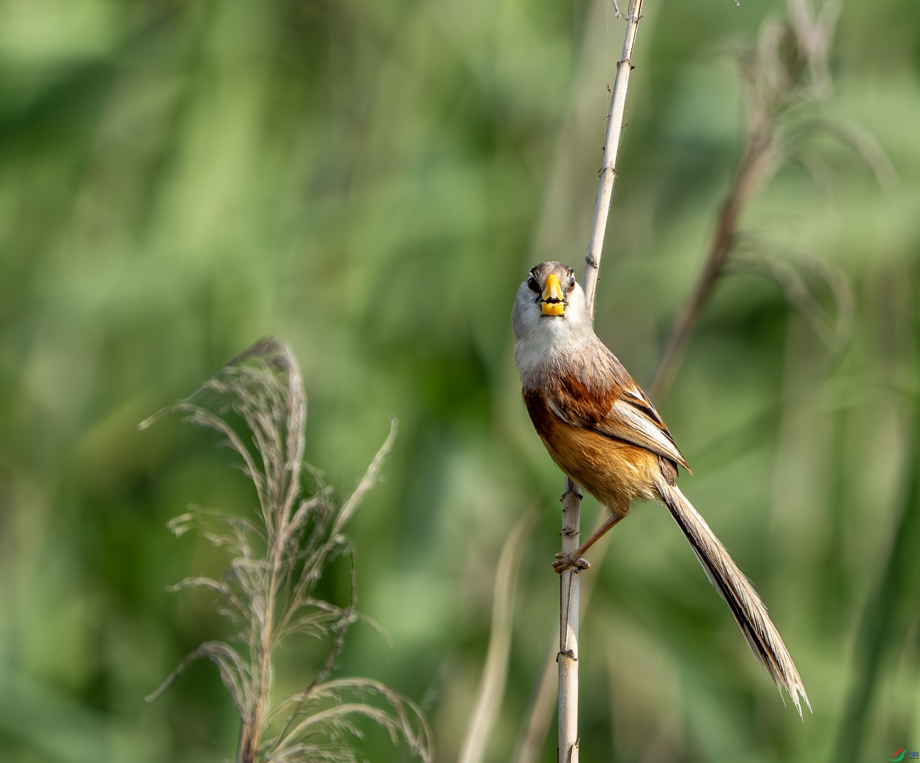 ��ѻȸ-4-3.jpg