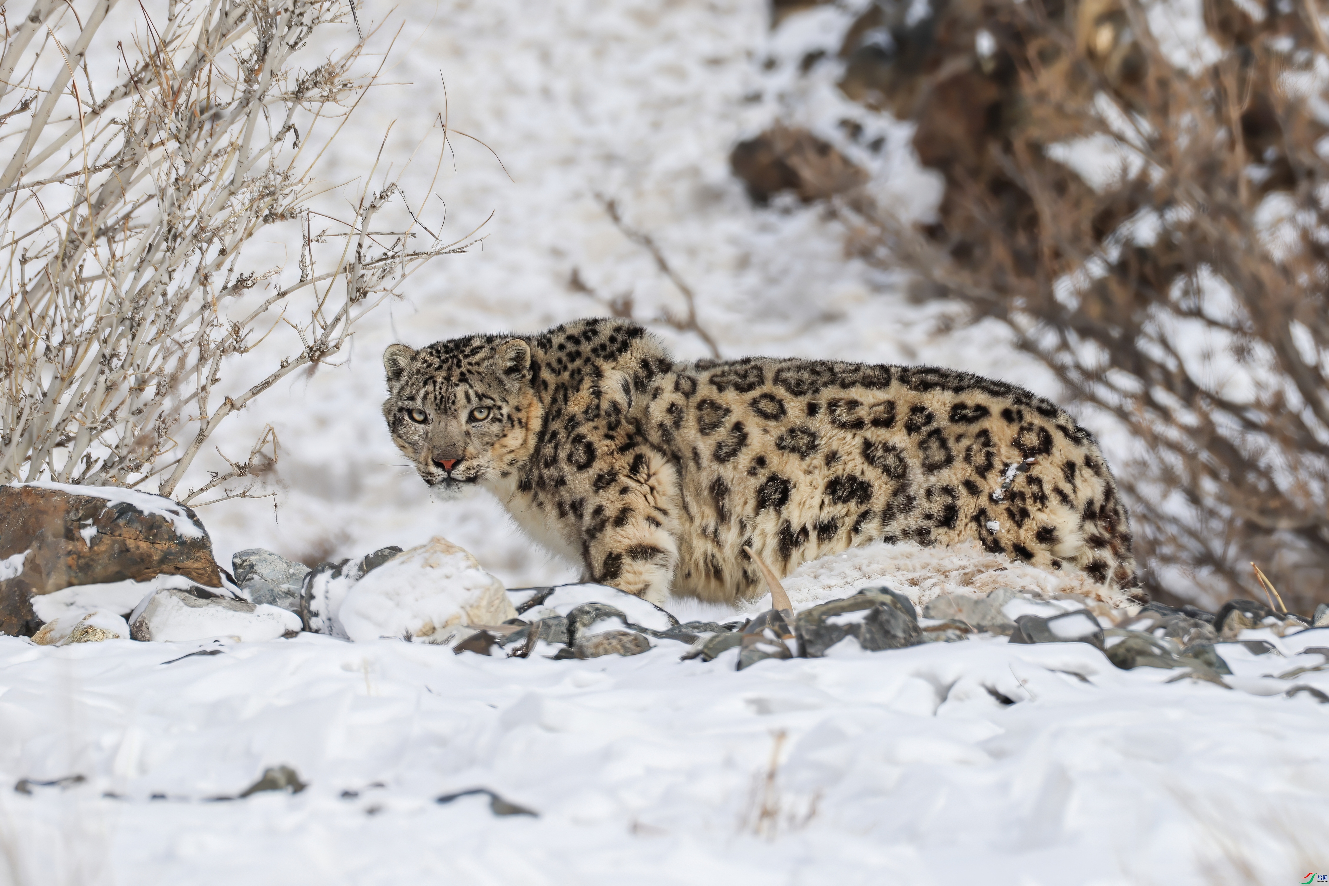 9A7A0892-topaz-denoise.jpeg