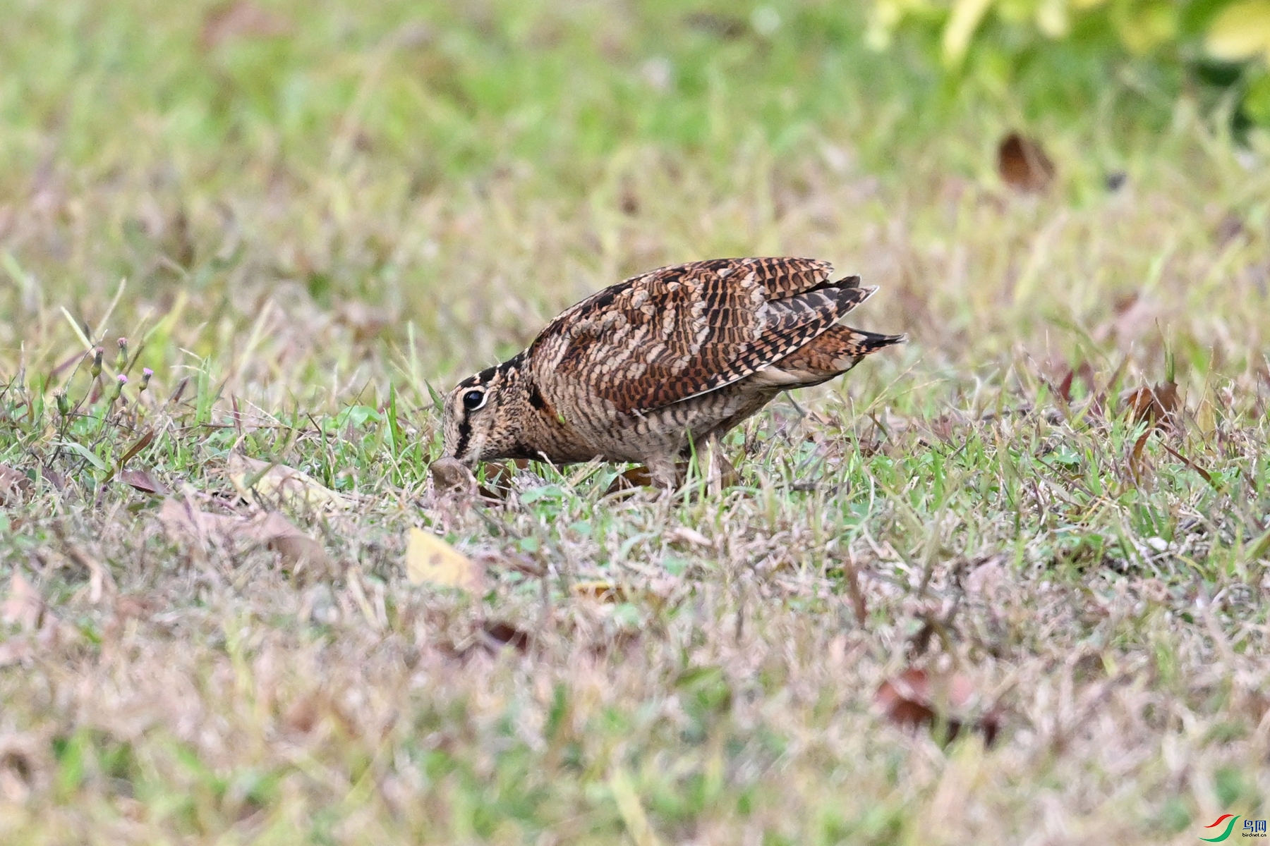 DSC_8622.JPG
