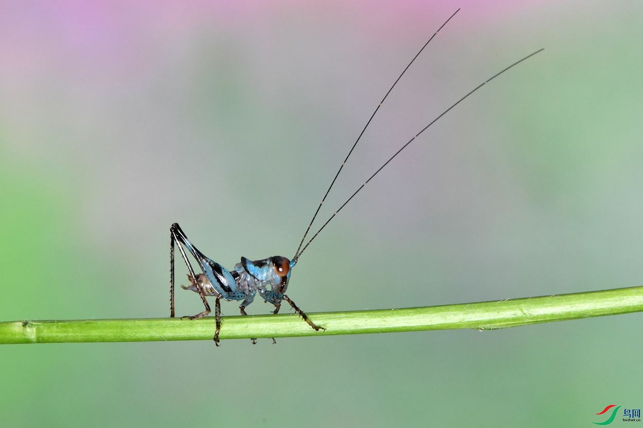 DSC_4841_����.jpg