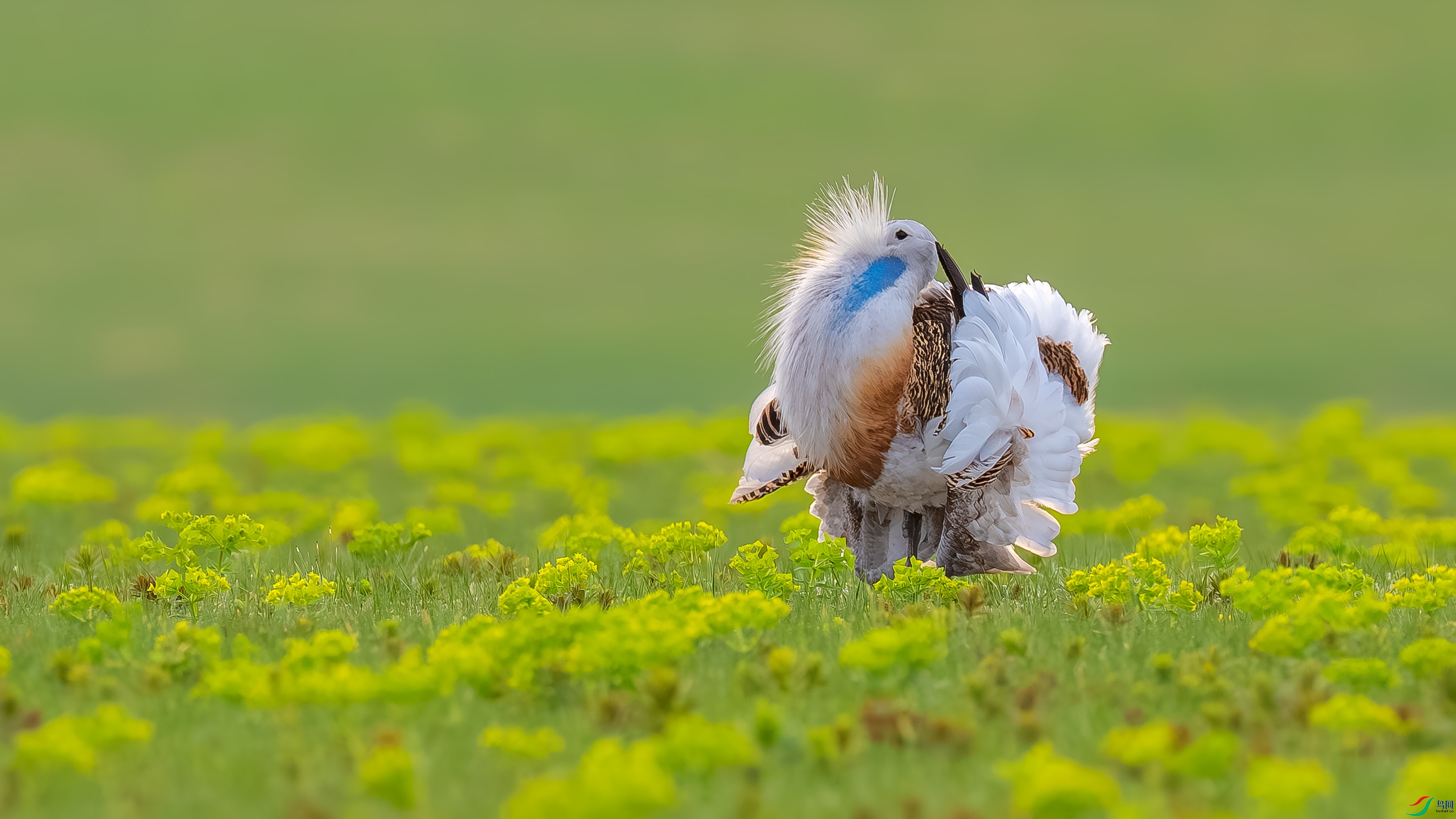 DSC02448 ����.jpg