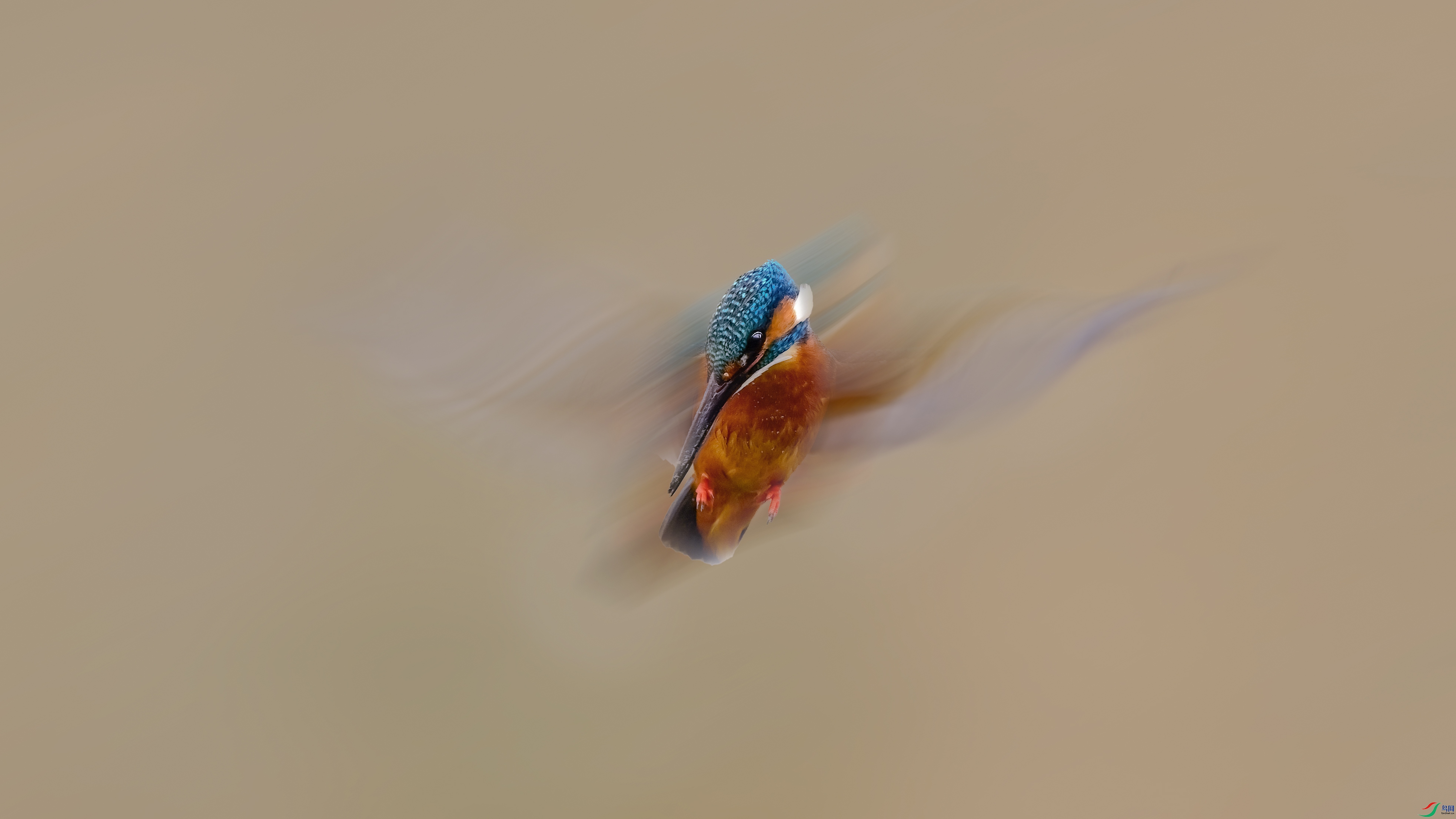 fae3b12411068cc02c92b64e764d066b.jpg