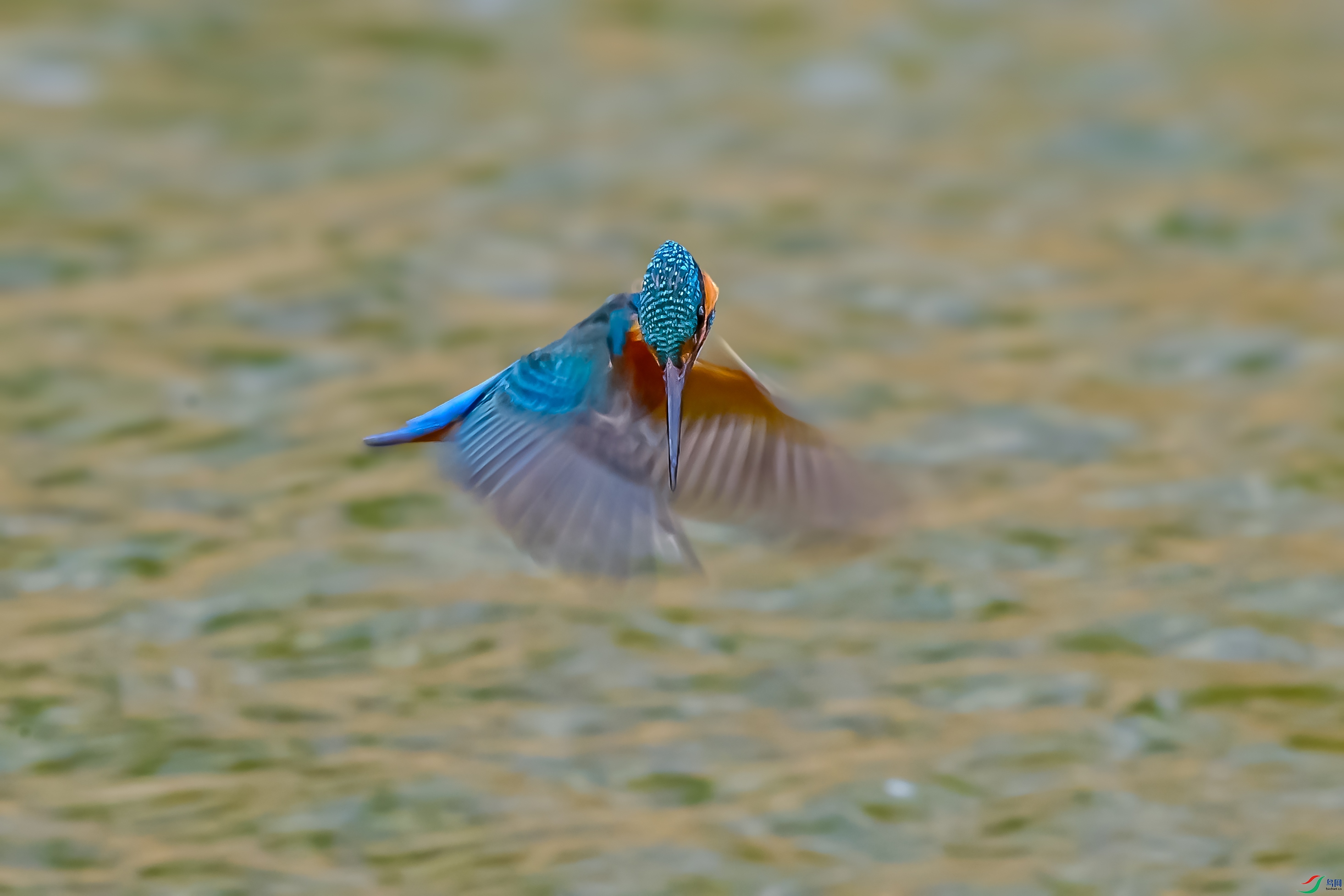 ff05cdbeec605067e3e42e29774cbc8b.jpg