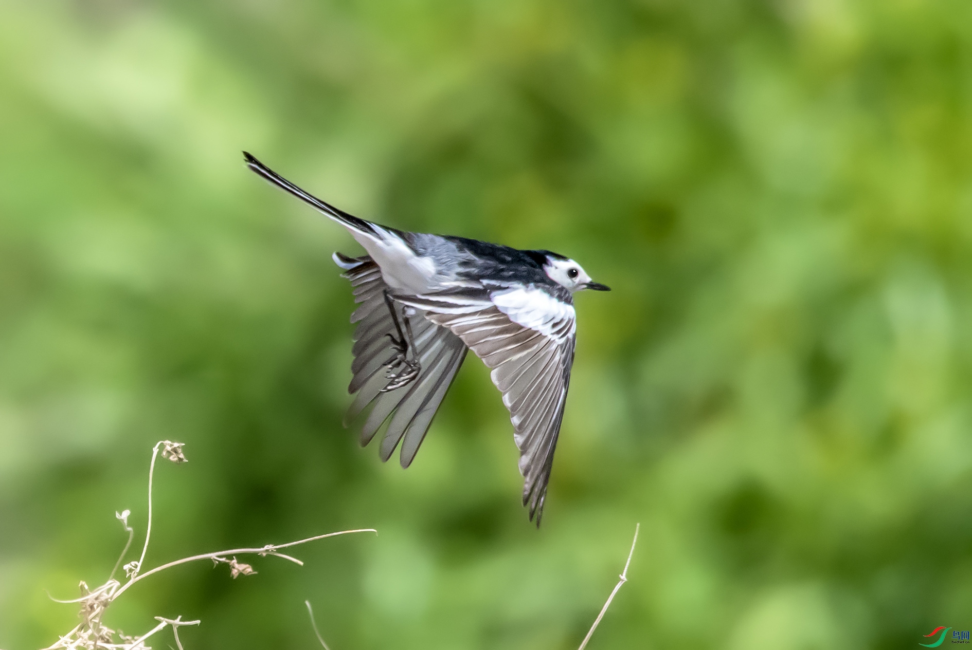 DSC_0347_��ͼ�� ����.jpg