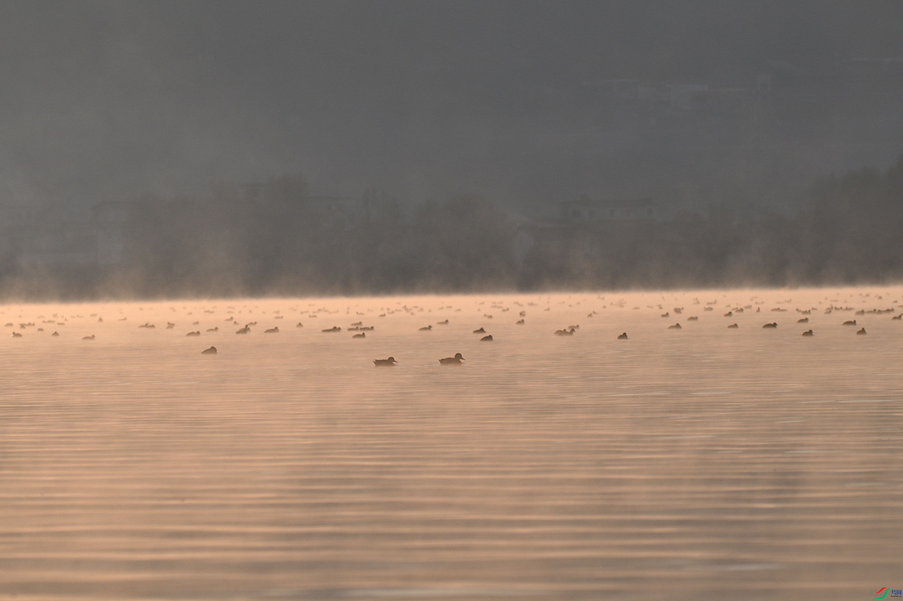 DSC_9656_����.jpg