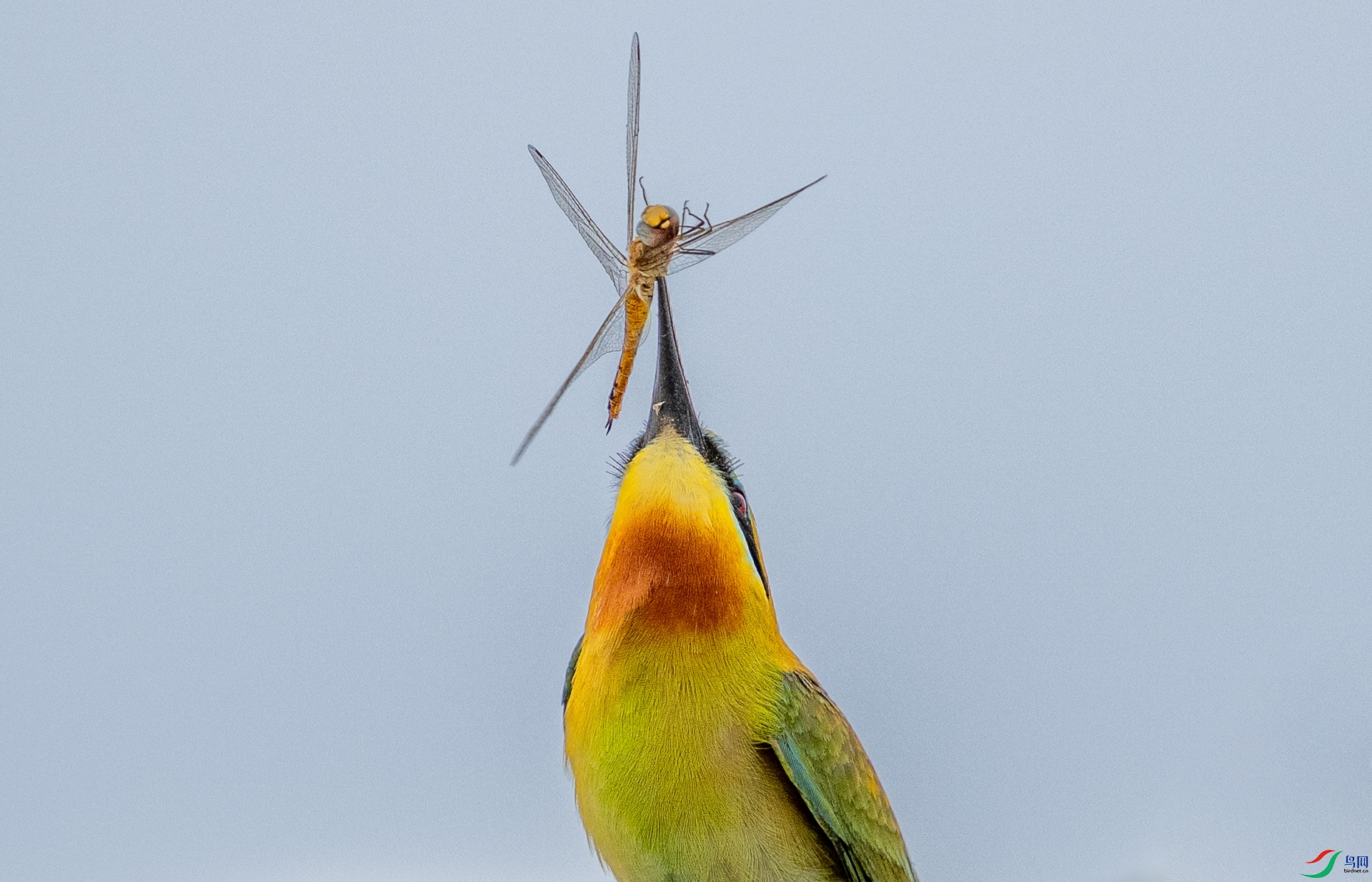DSC_5616-1.jpg