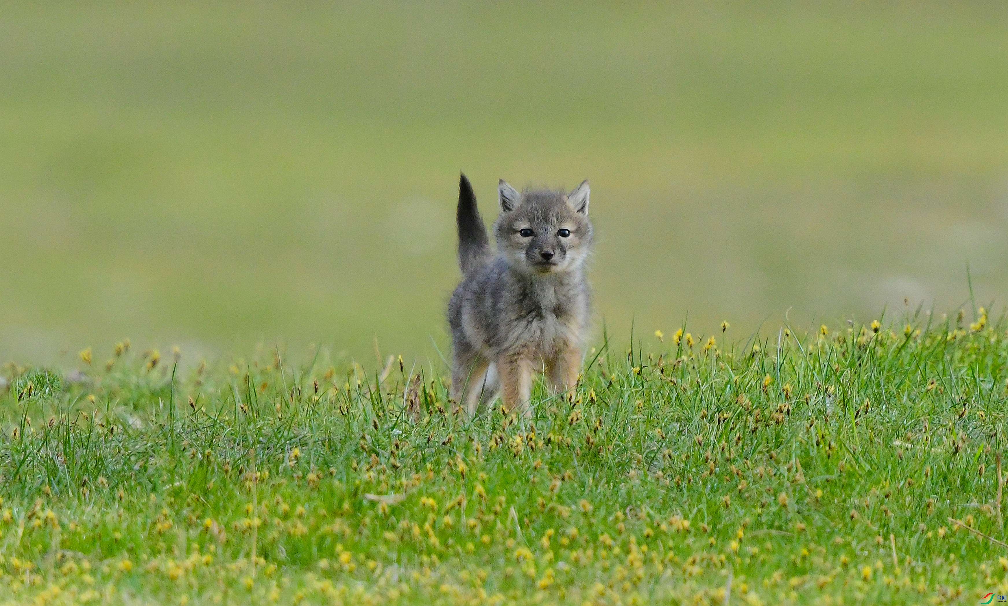 DSC_9687.JPG