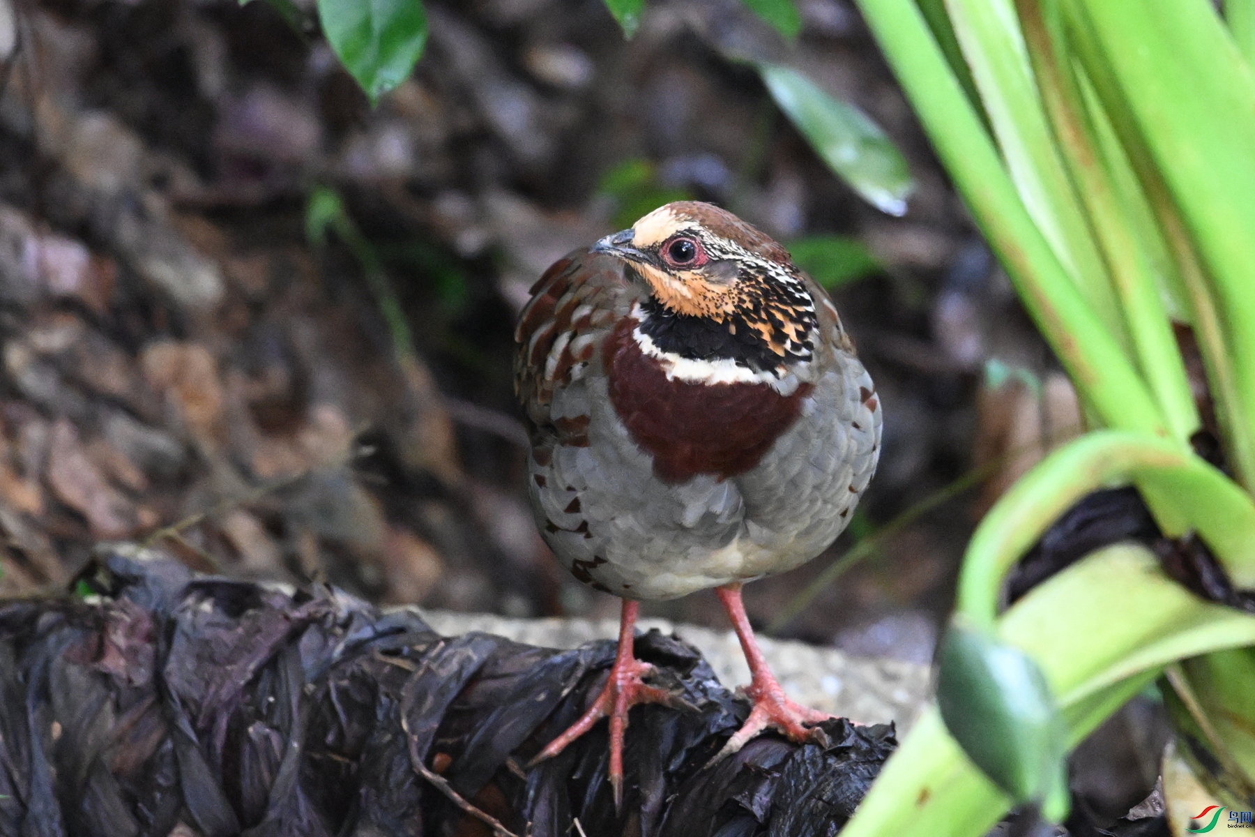 DSC_3724.JPG