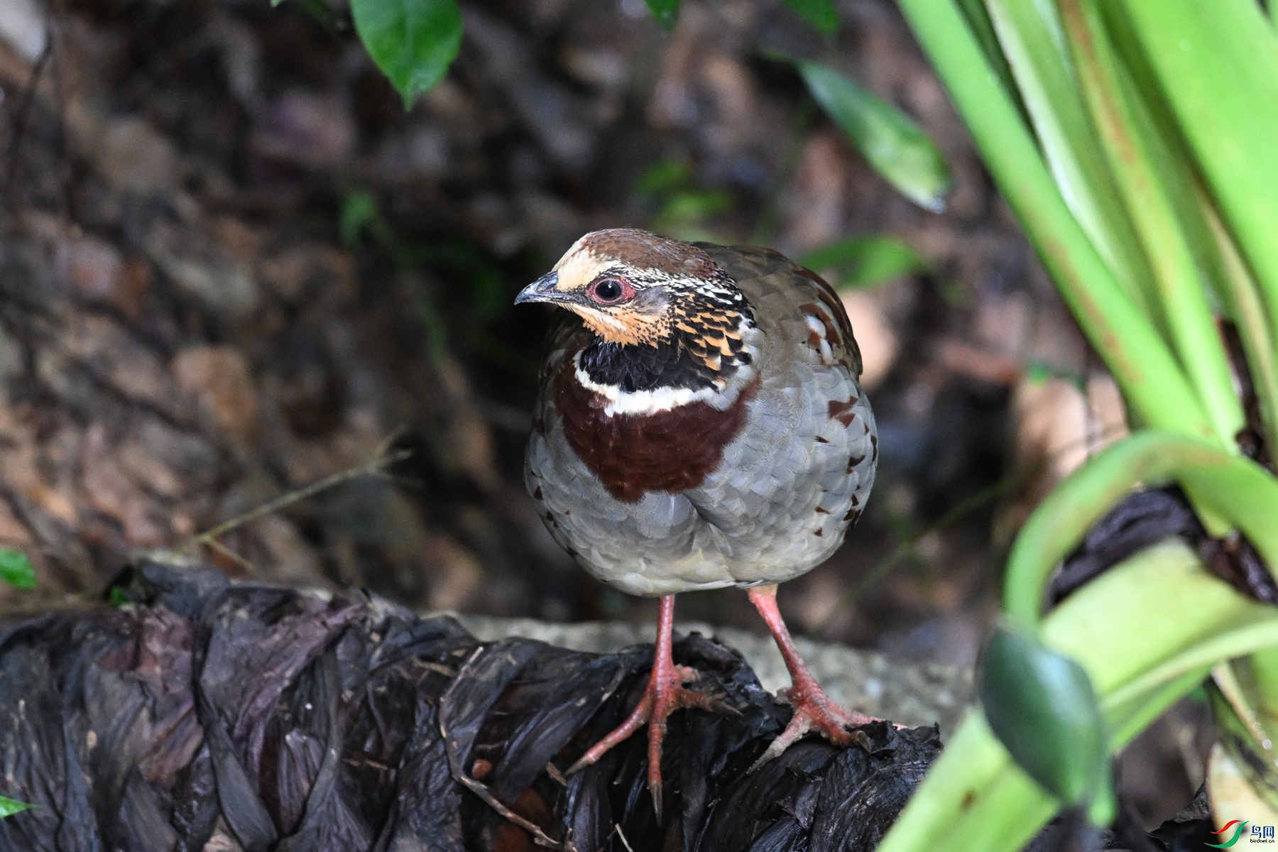 DSC_3768.JPG
