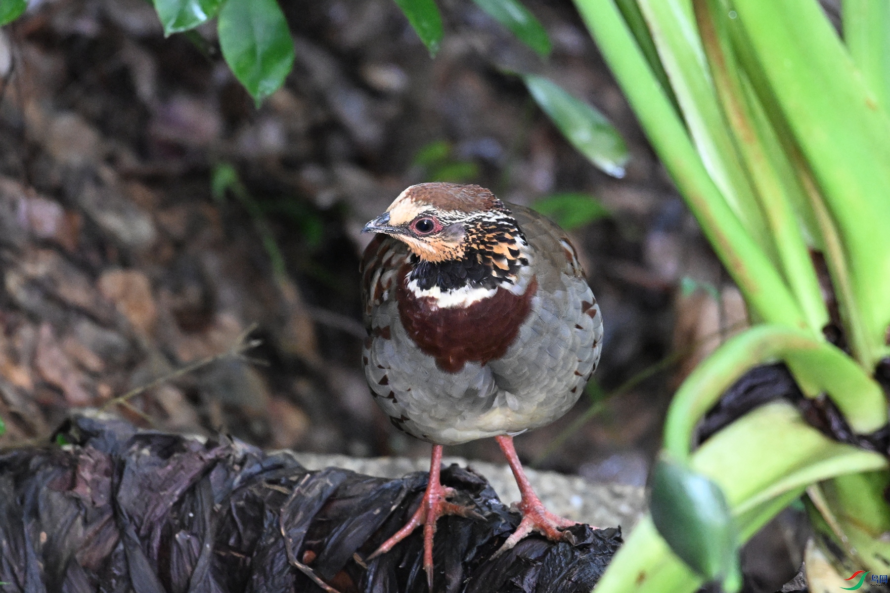 DSC_3751.JPG