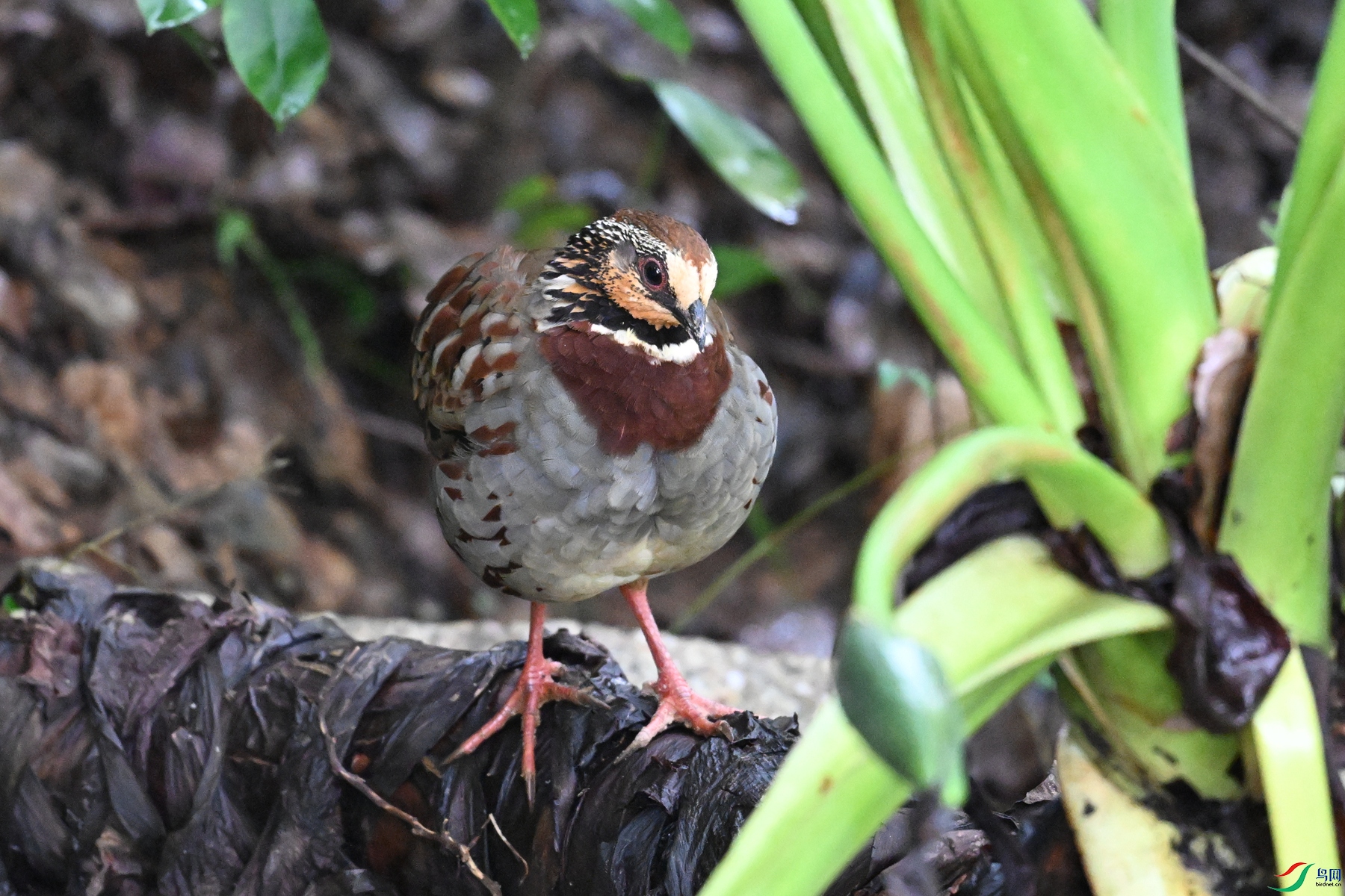 DSC_3713.JPG