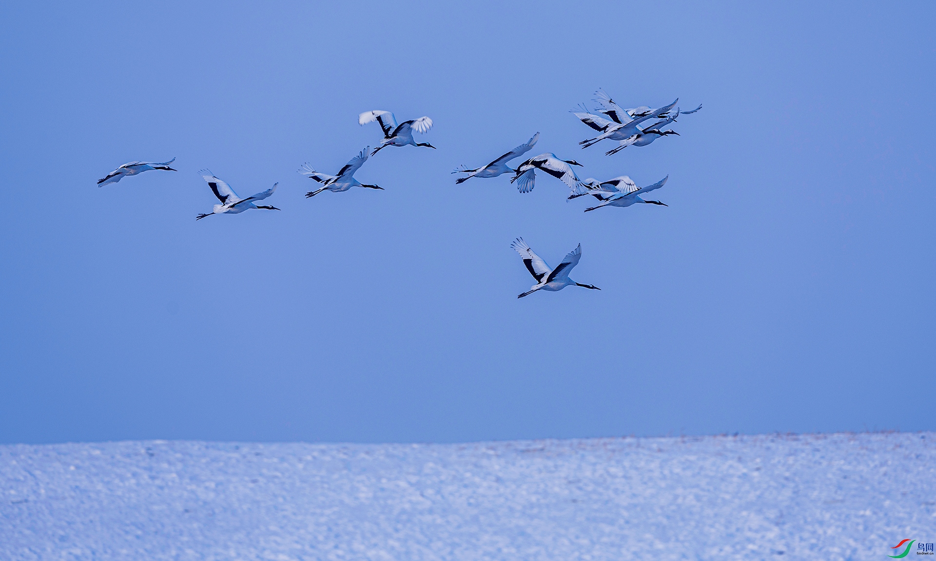 066A7511-1.jpg