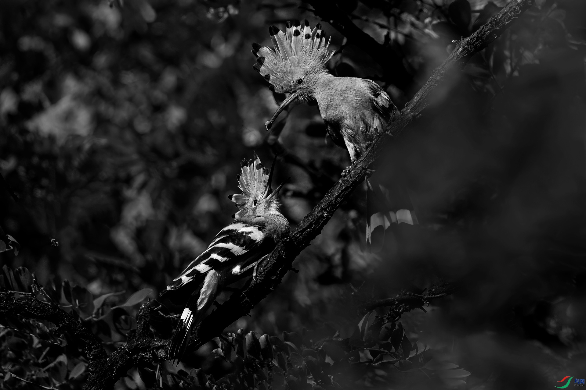 DSC_8408-9.jpg