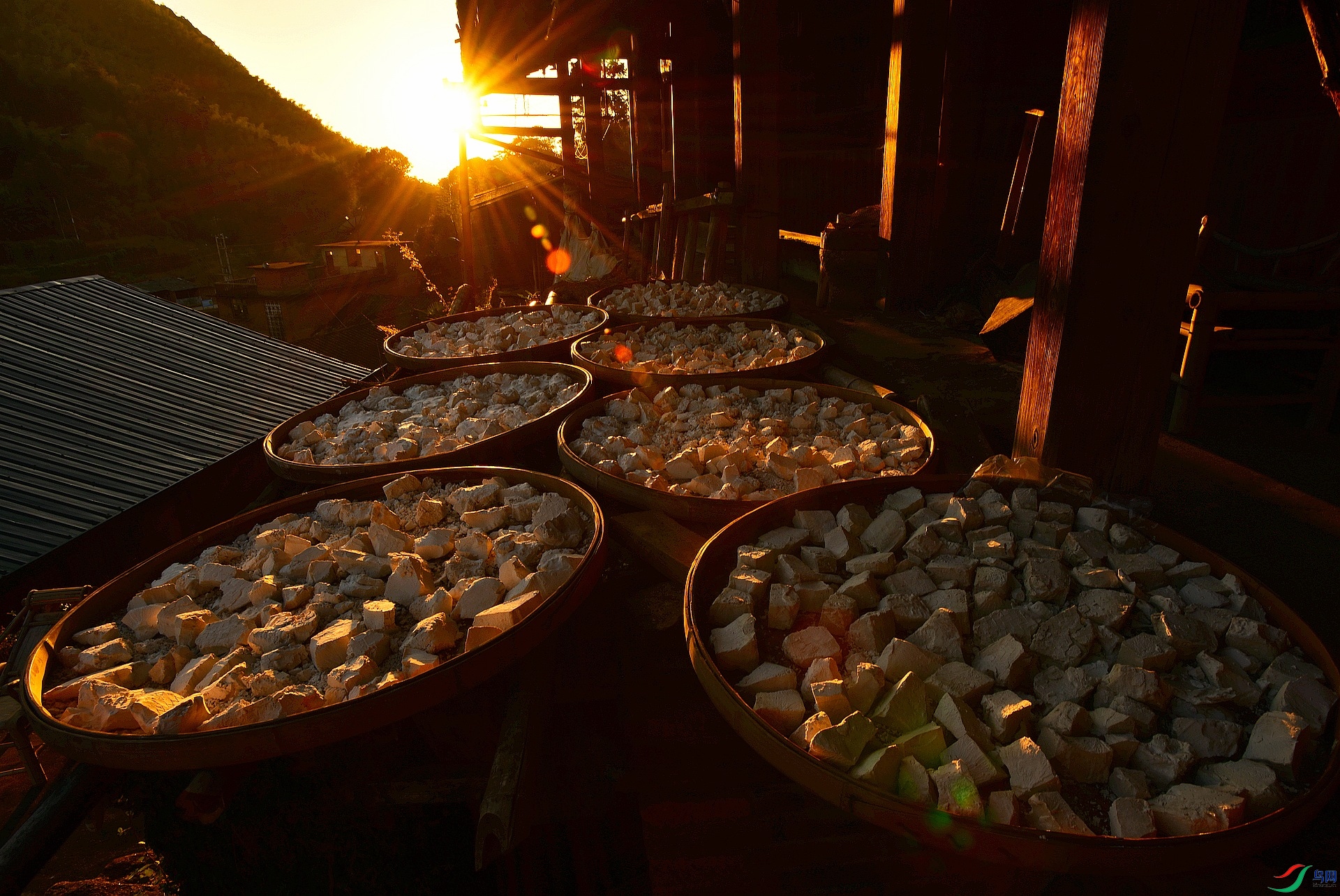 D8I_0850.jpg