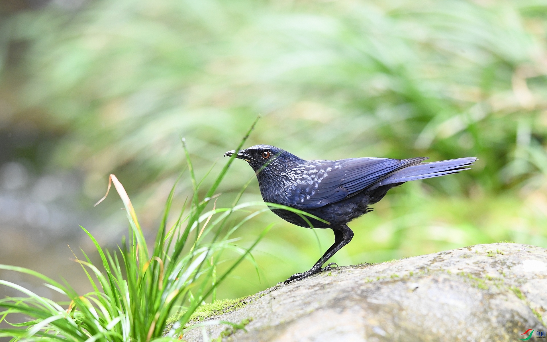 DSC_3847.jpg