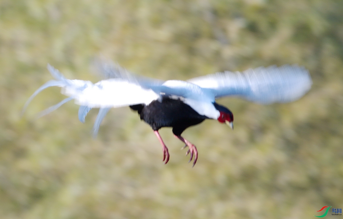 _DSC1738m_������С.jpg