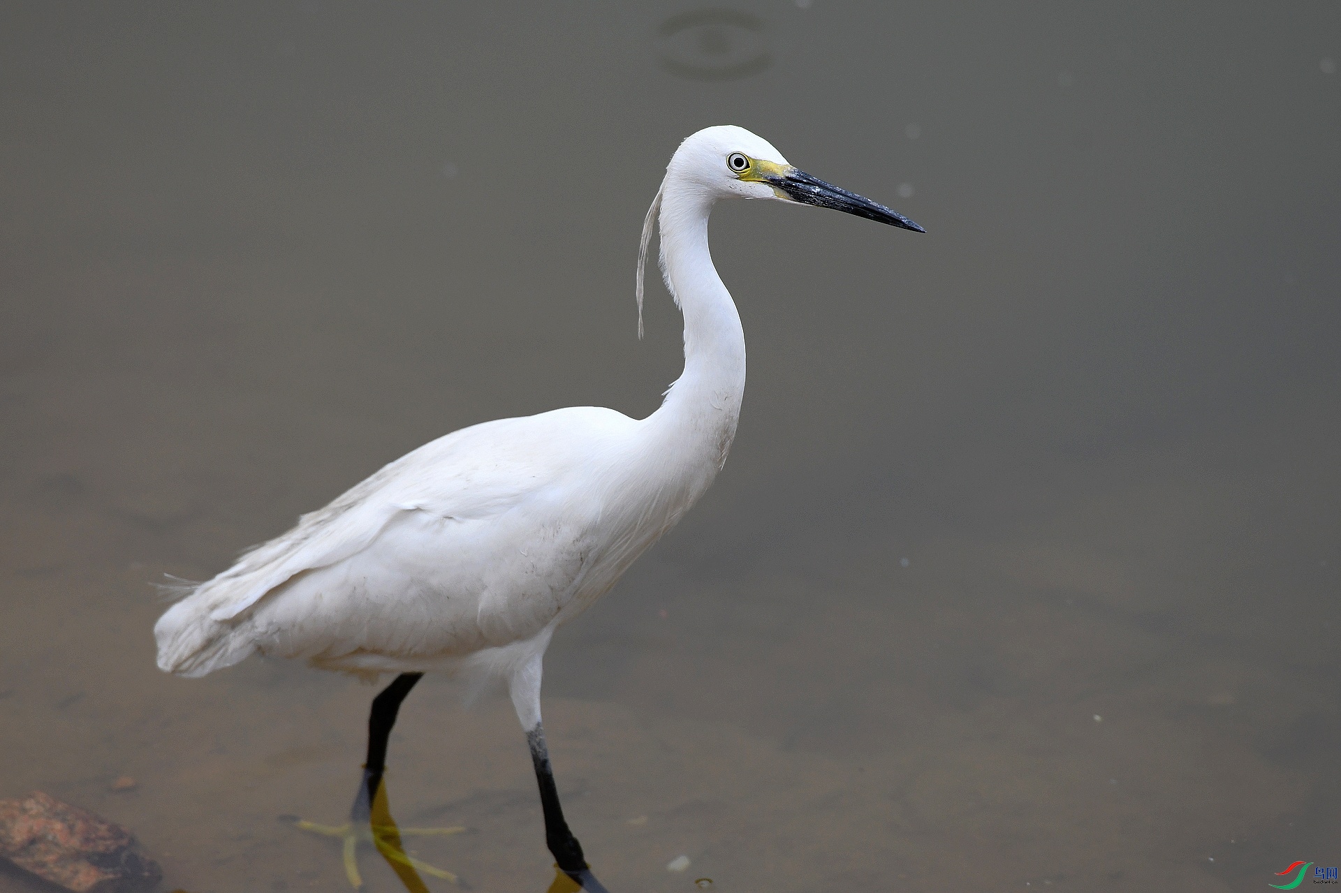 DSC_2315.jpg