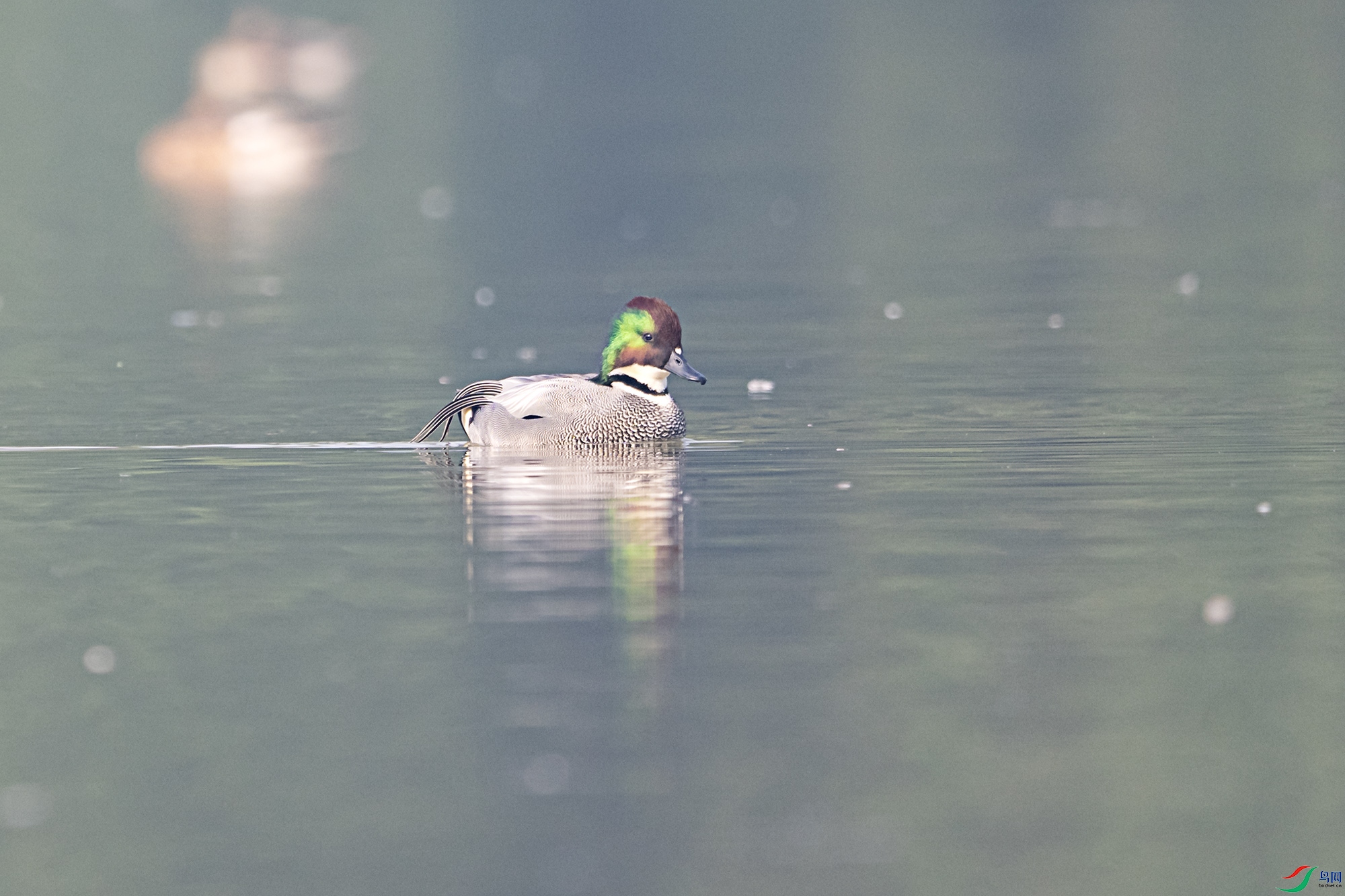 DSC_2380.jpg