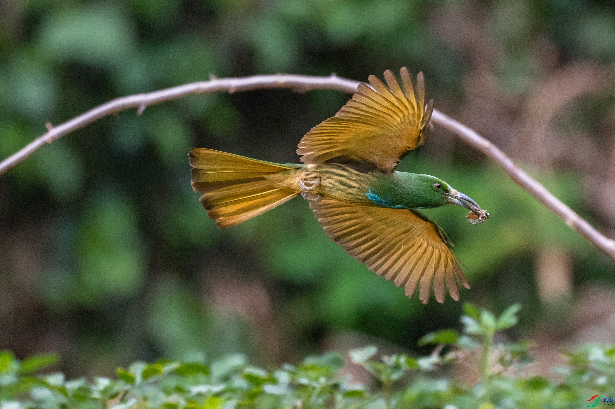 DSC_0719-1.jpg