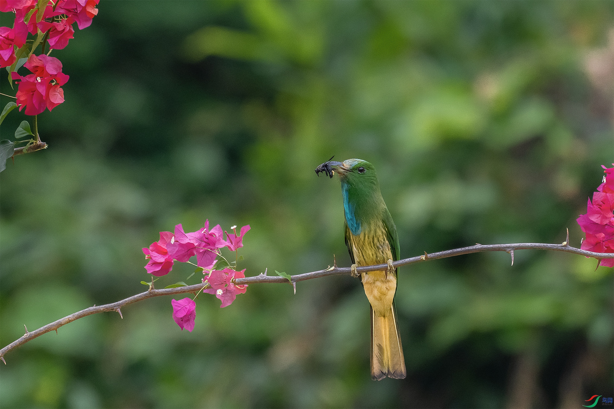 DSC_0752-1.jpg