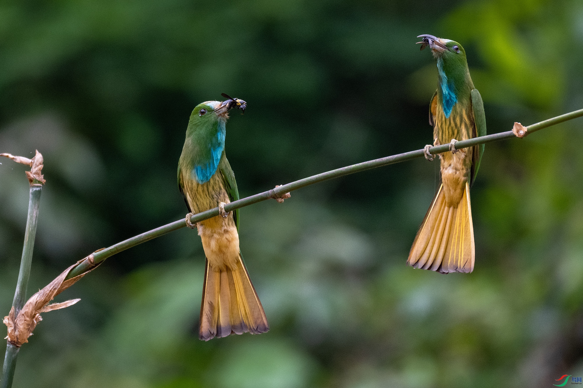 DSC_0415-1.jpg