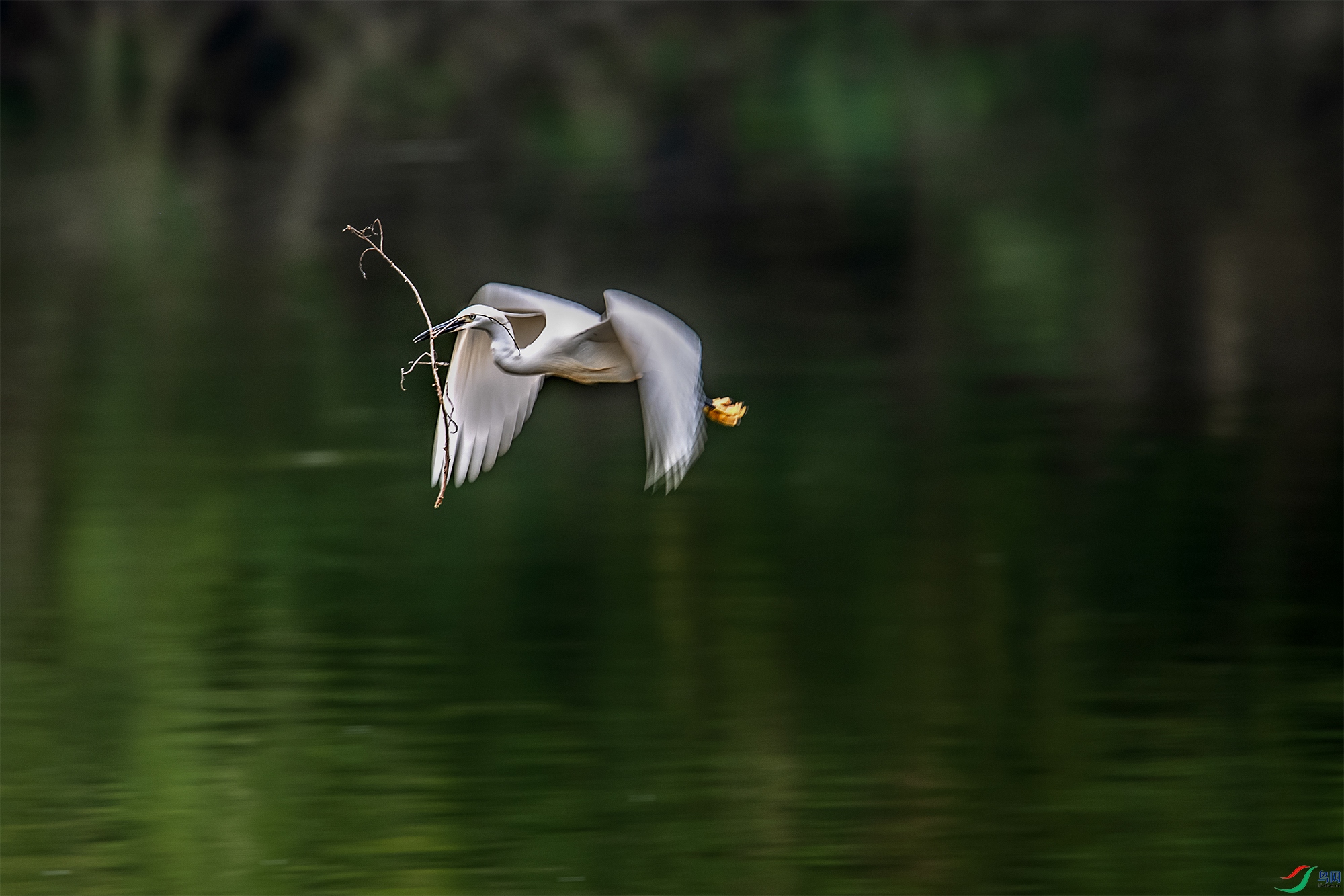 DSC_4515a.jpg