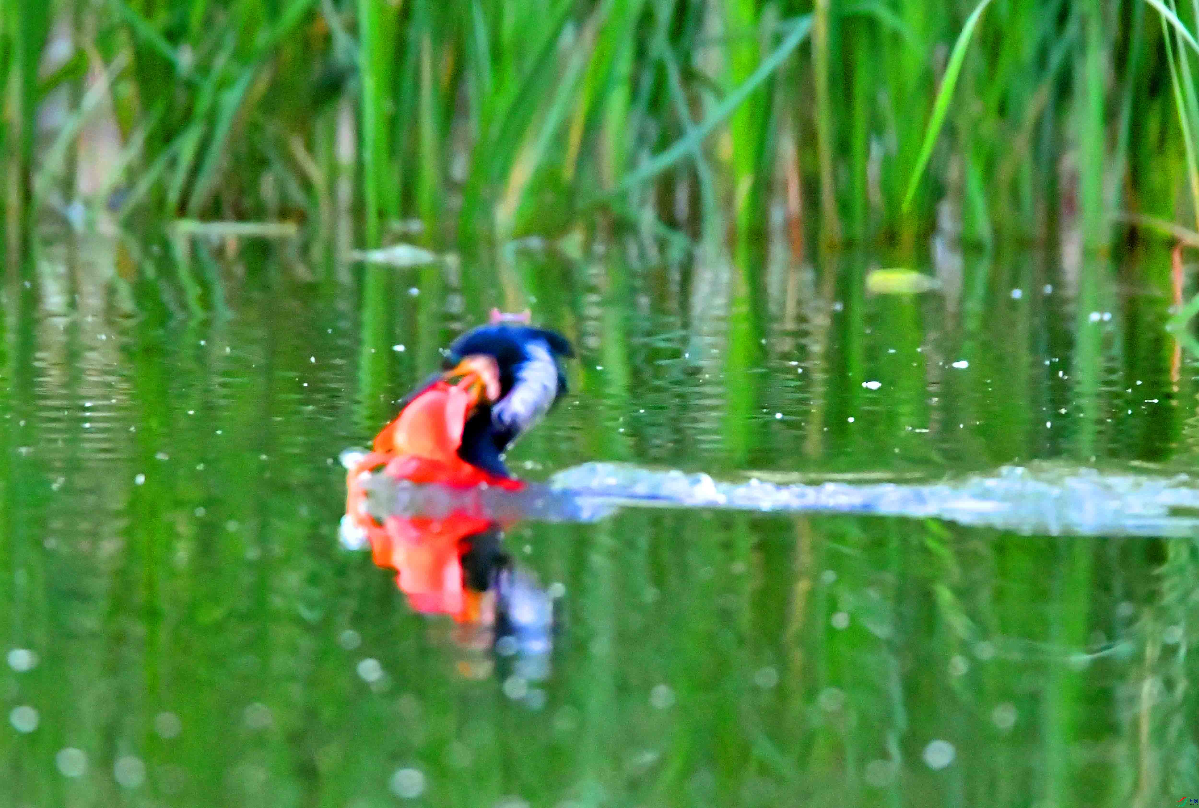 DSC_2034.JPG