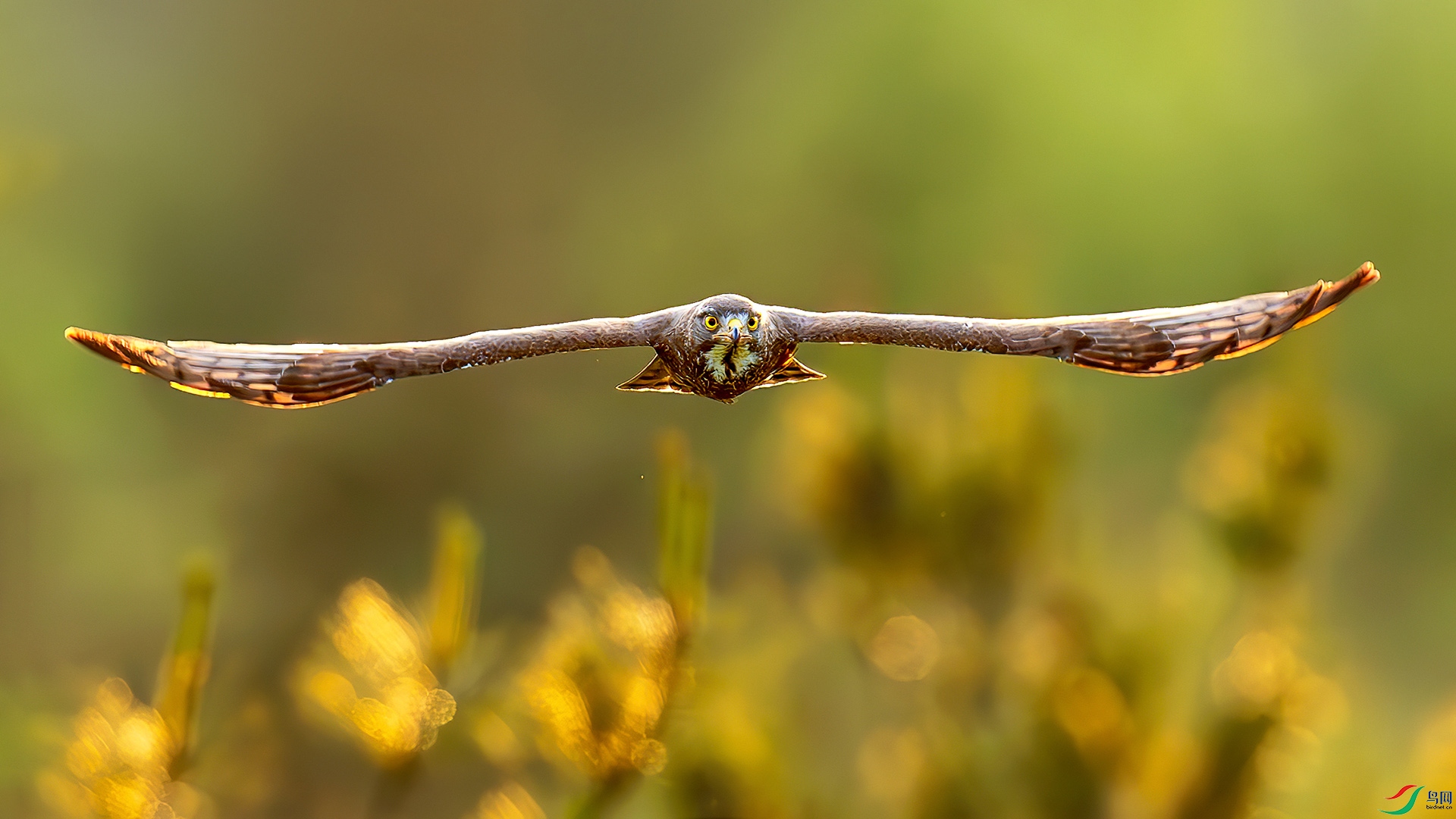 0D1A7232-8.jpg