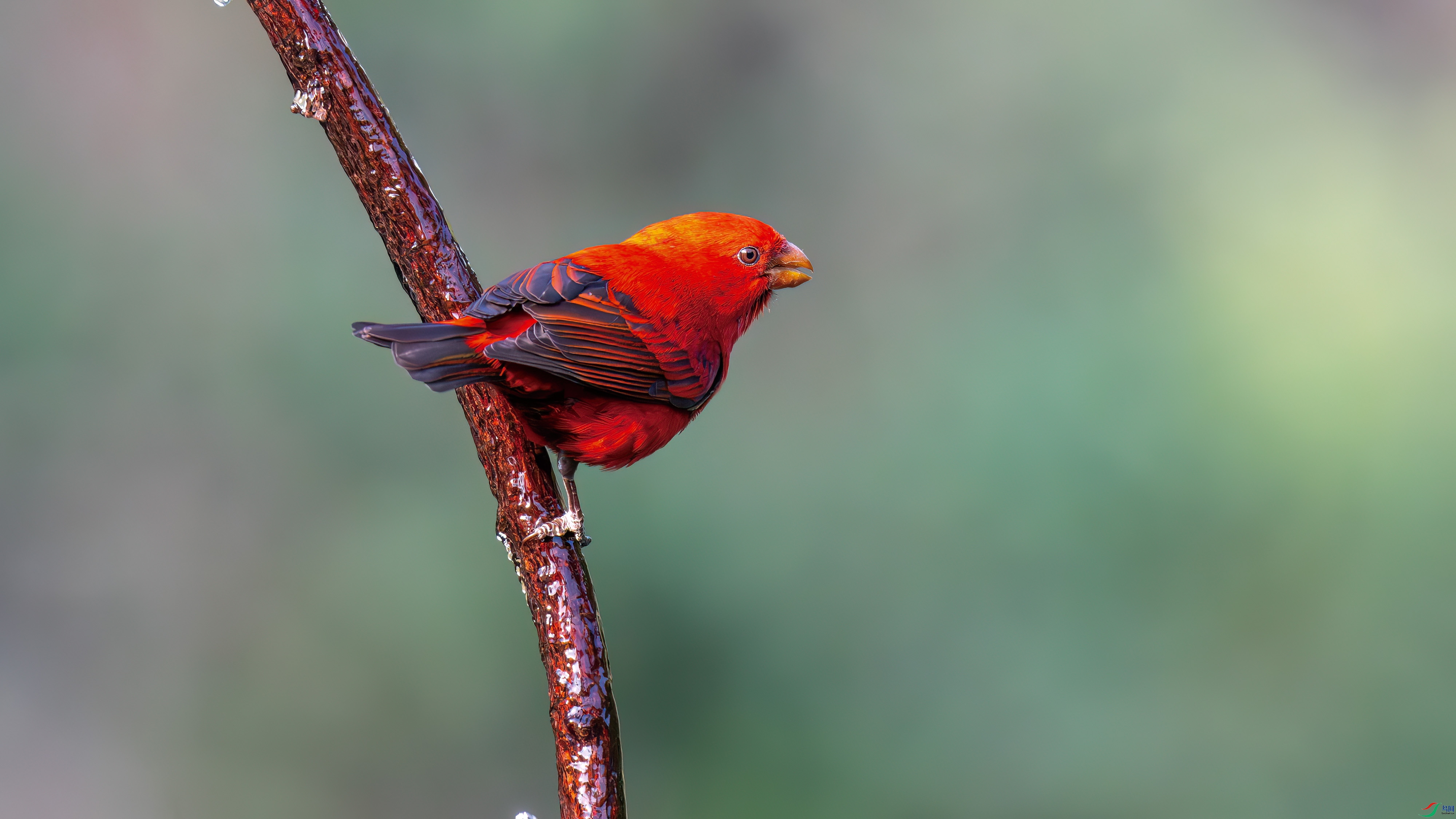 DSC_7934.jpg