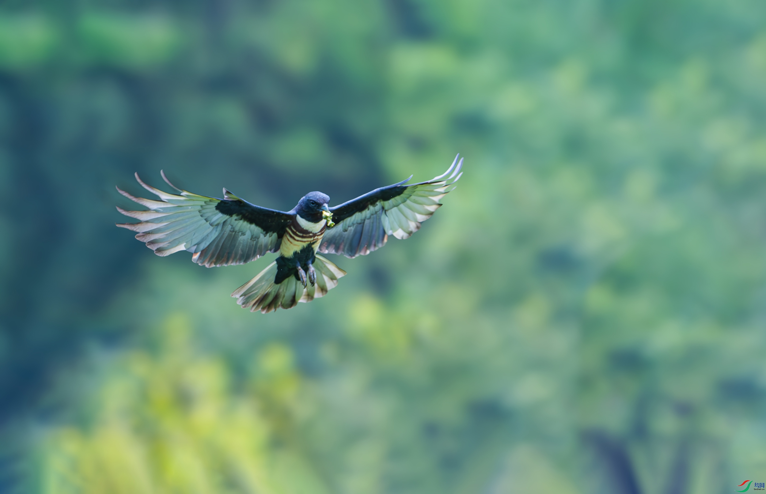 DSC_4420-����ǿ-NR ���� 2.jpg