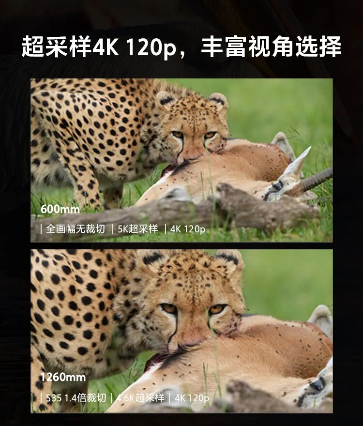 DM_20260514103313_023.jpg