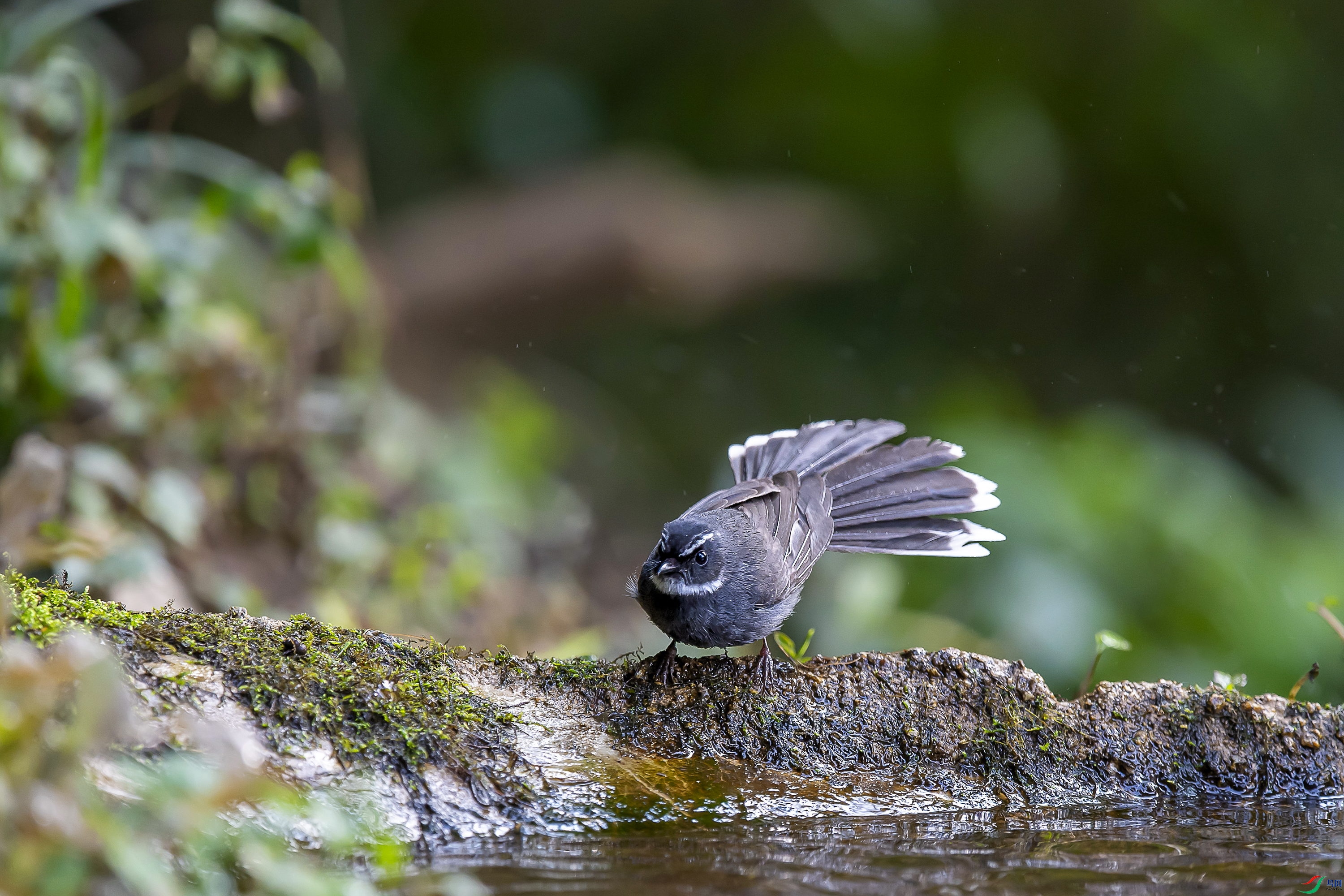 DSC_7902.jpg