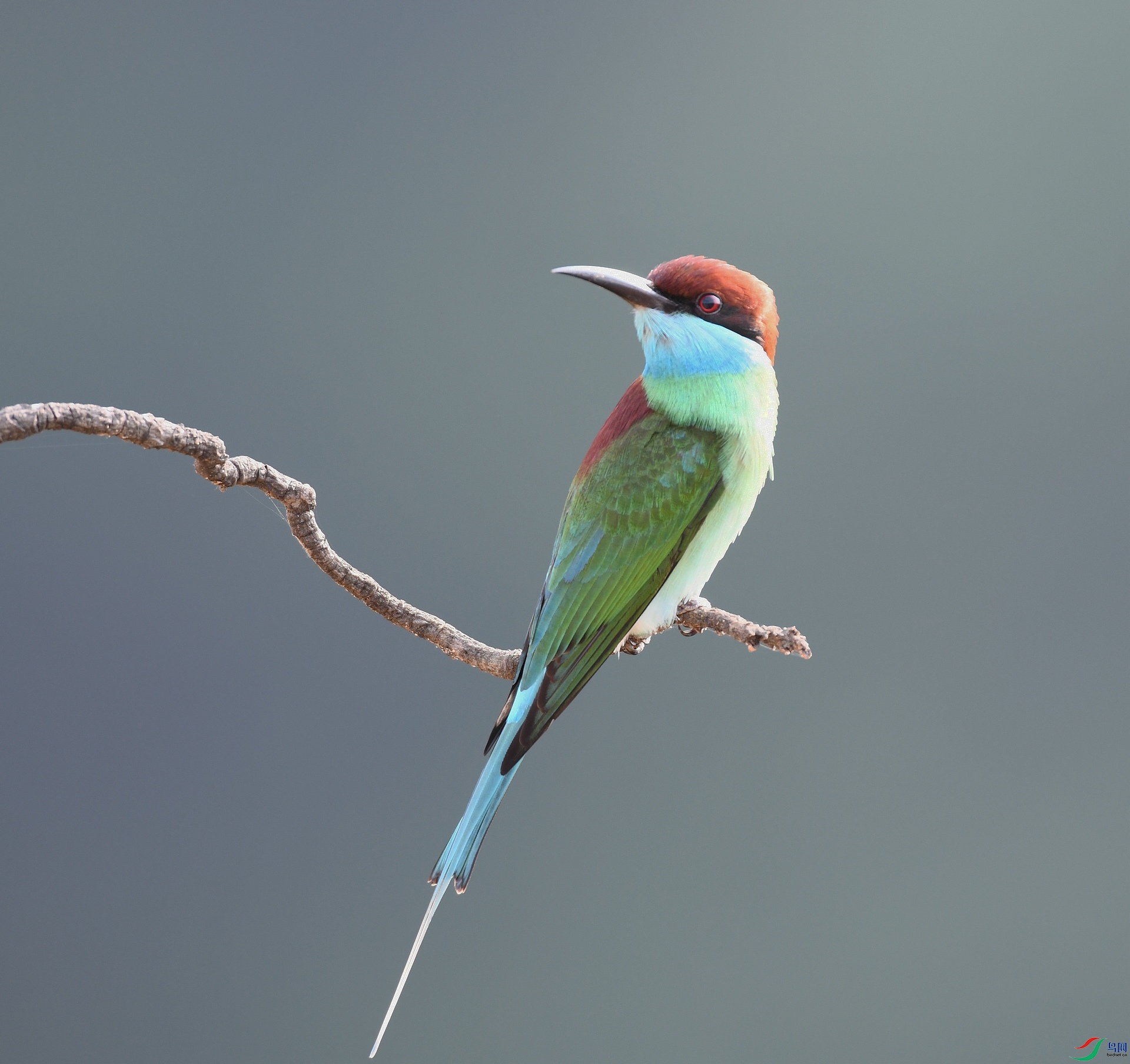 DSC_0437.jpg