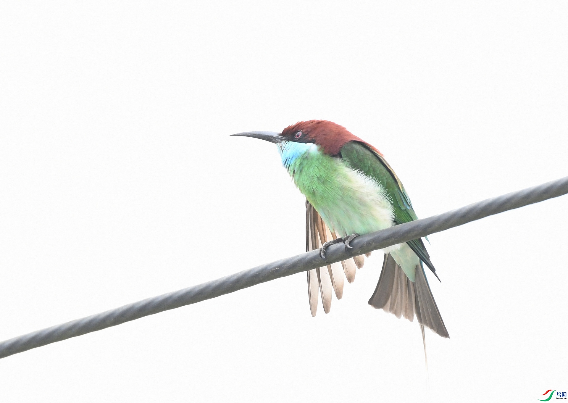 DSC_7965.jpg