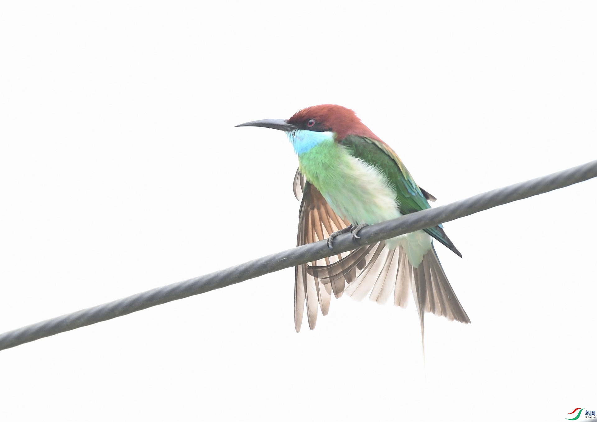 DSC_7964.jpg