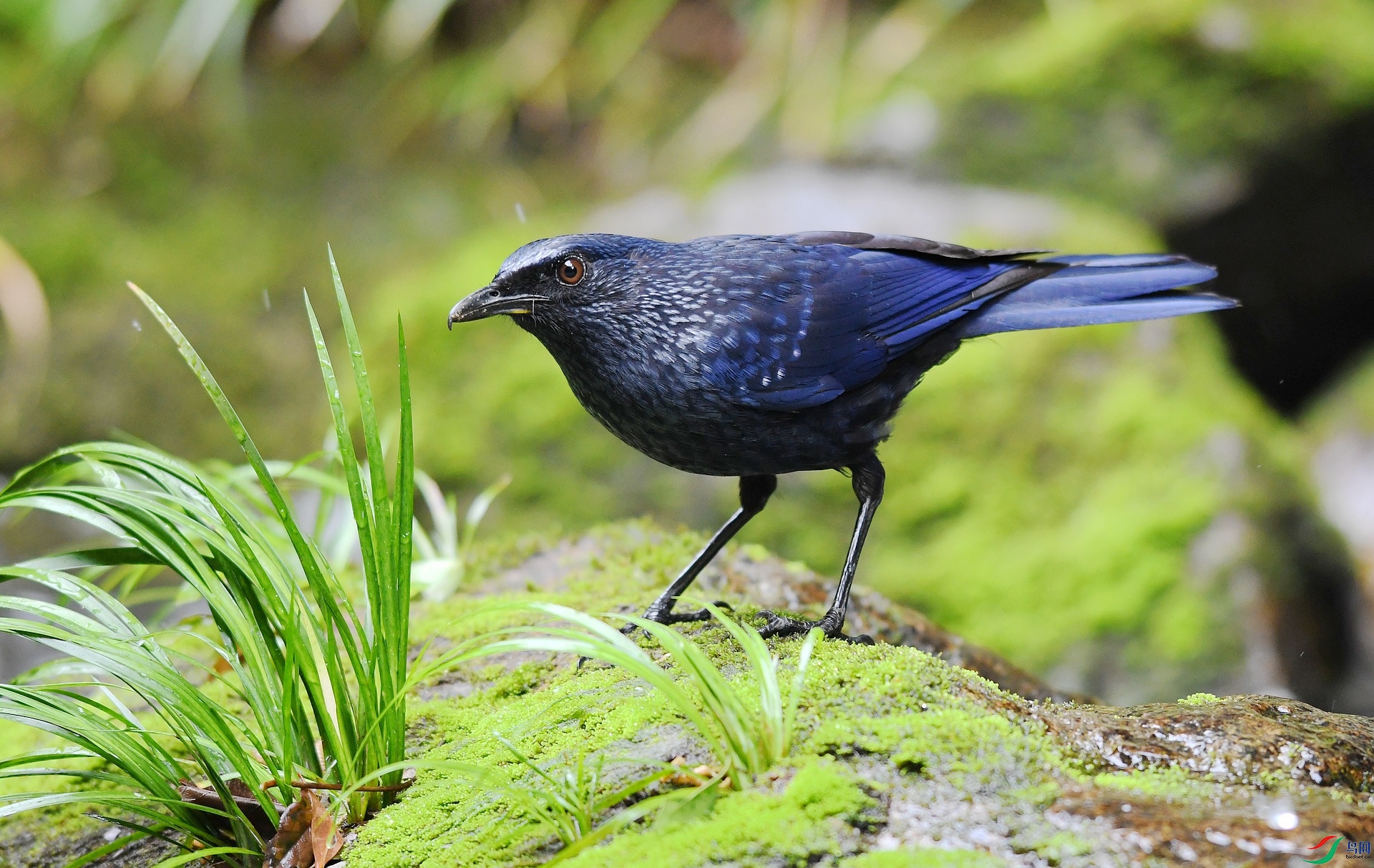 DSC_7819.jpg