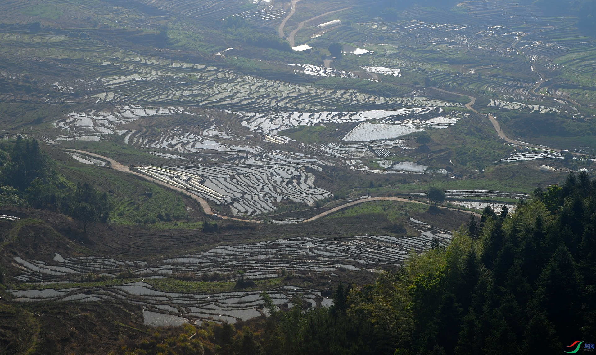 DSC_3267.jpg