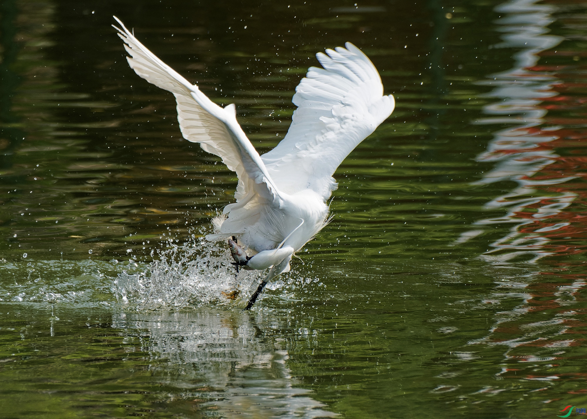 P5130175-1.jpg