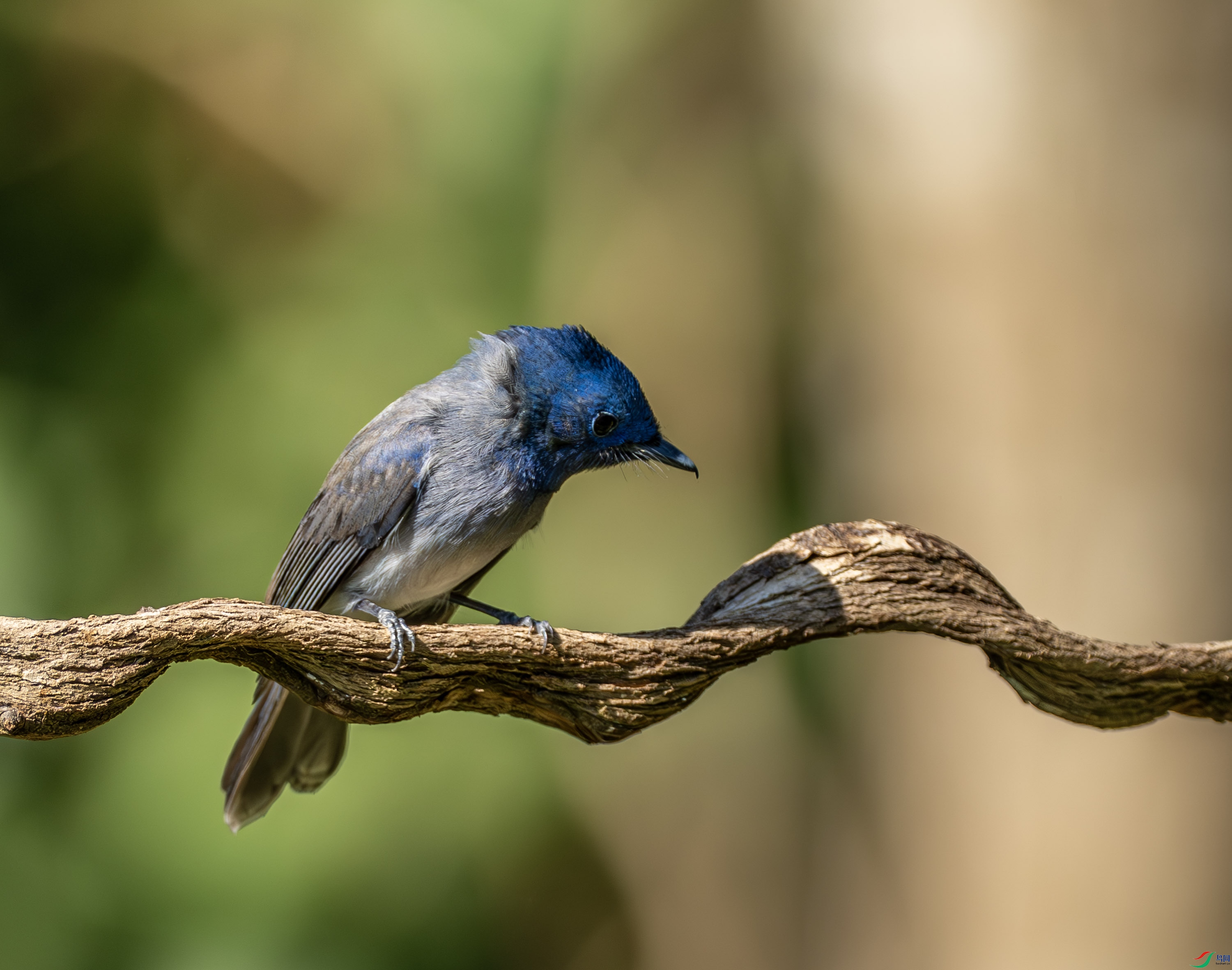 �������l-02-4.jpg