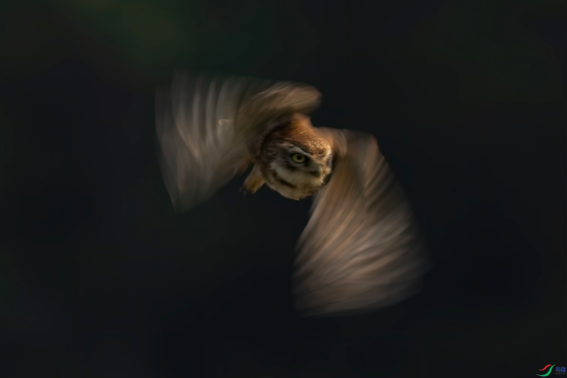 DSC07491-1xxxx.jpg