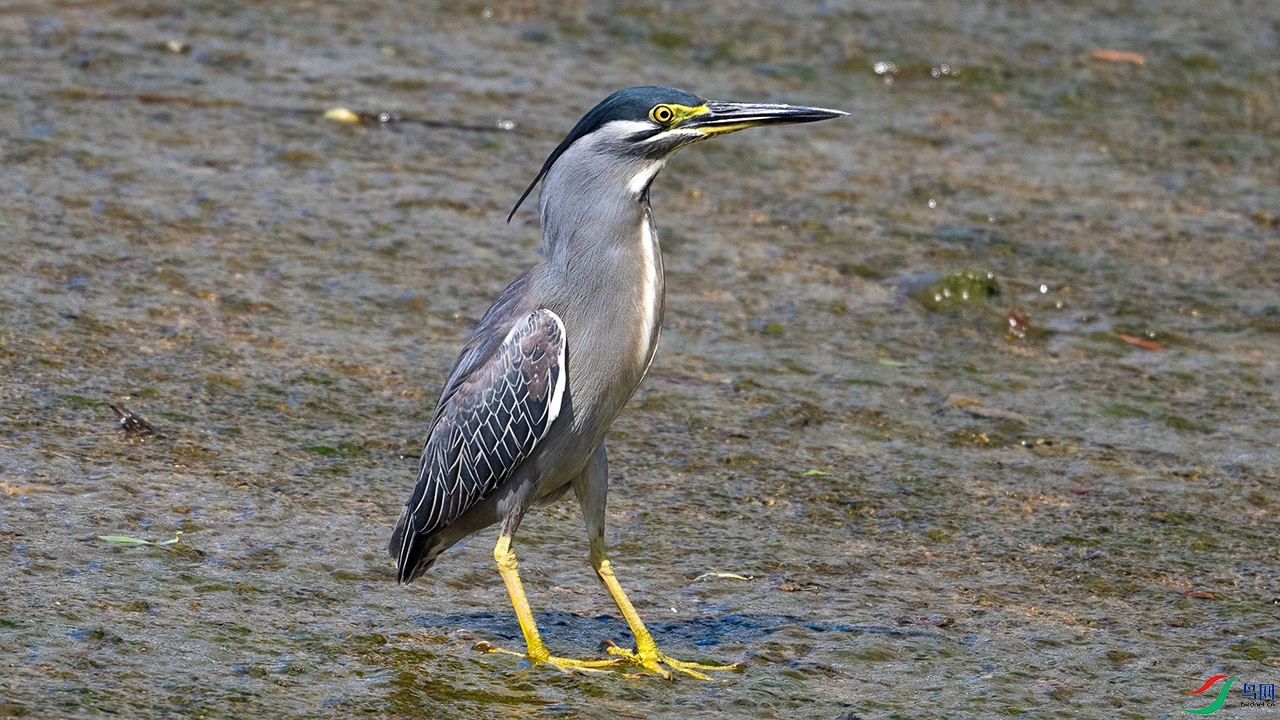 DSC_7623-_����.jpg