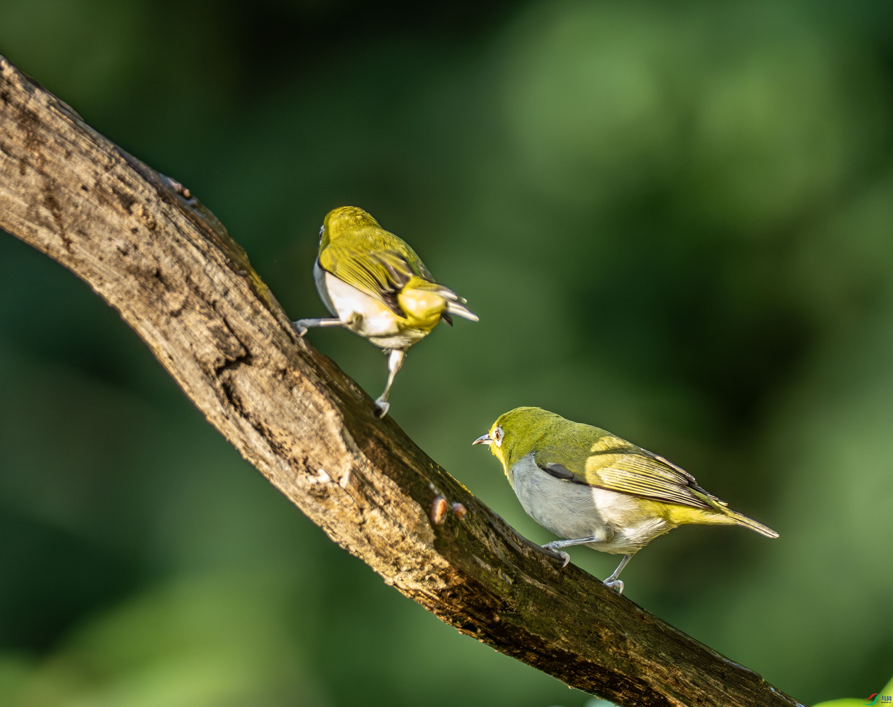 �Ҹ�������-01-18.jpg