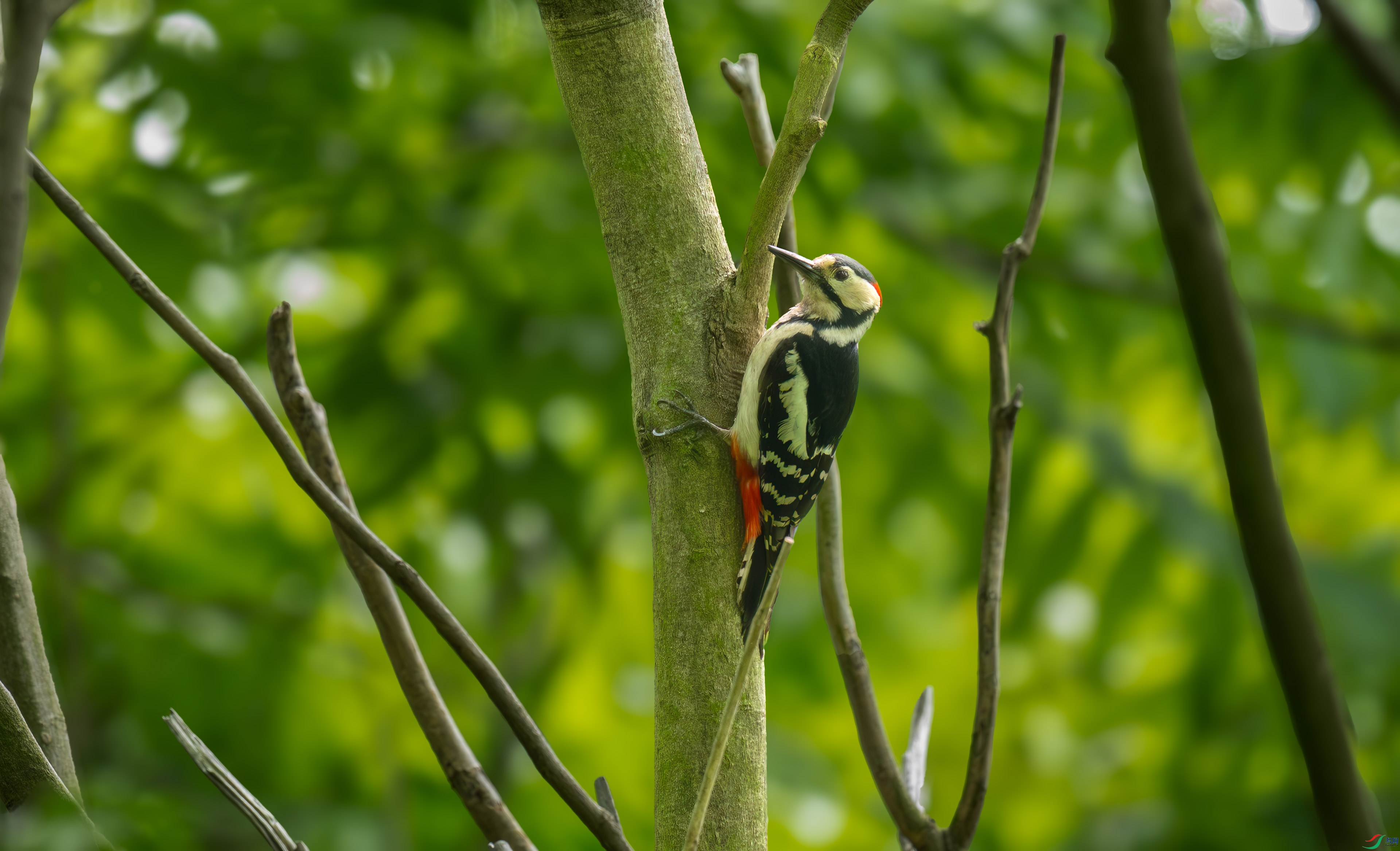 DSC_8091.jpg