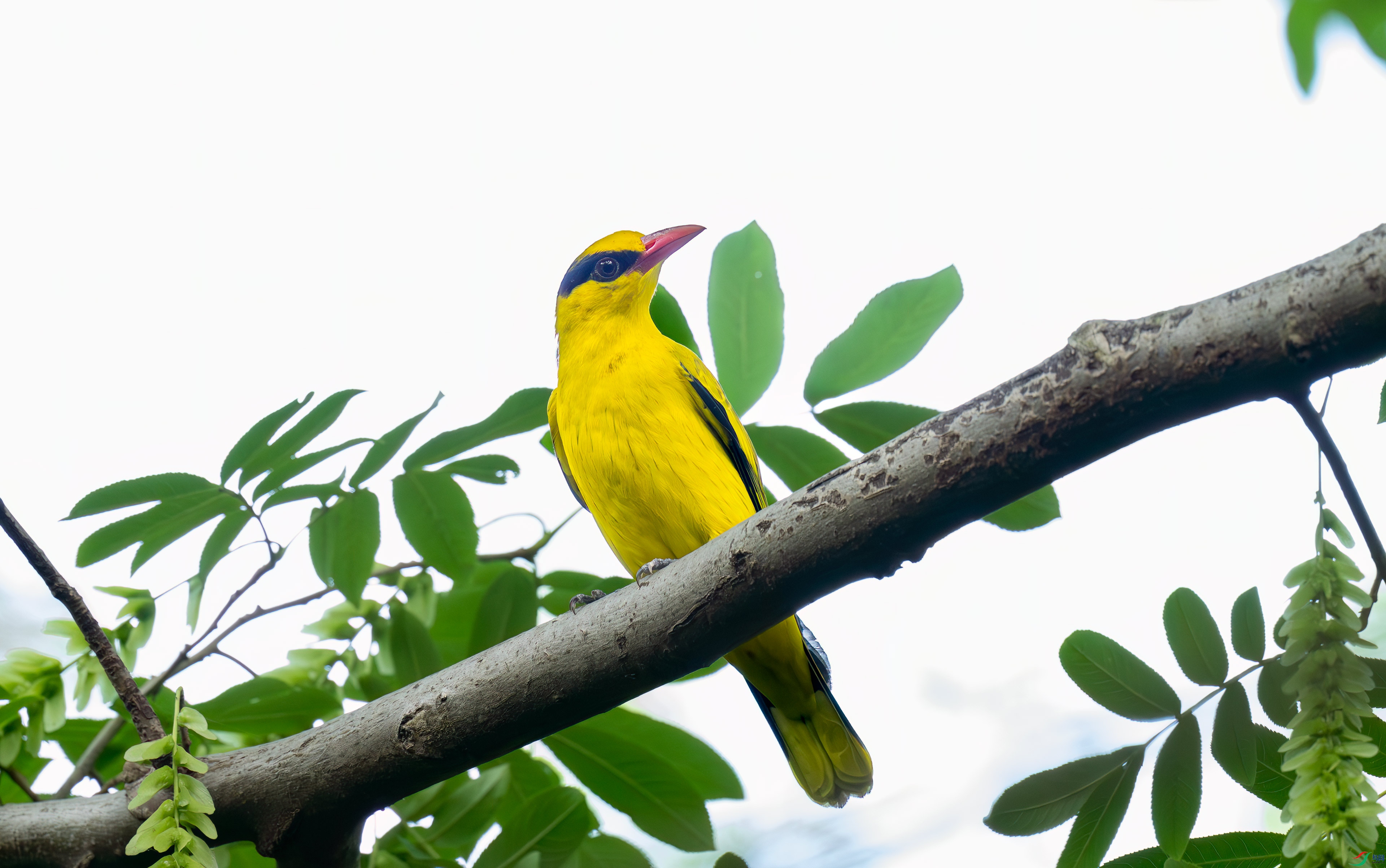 DSC_7761.jpg