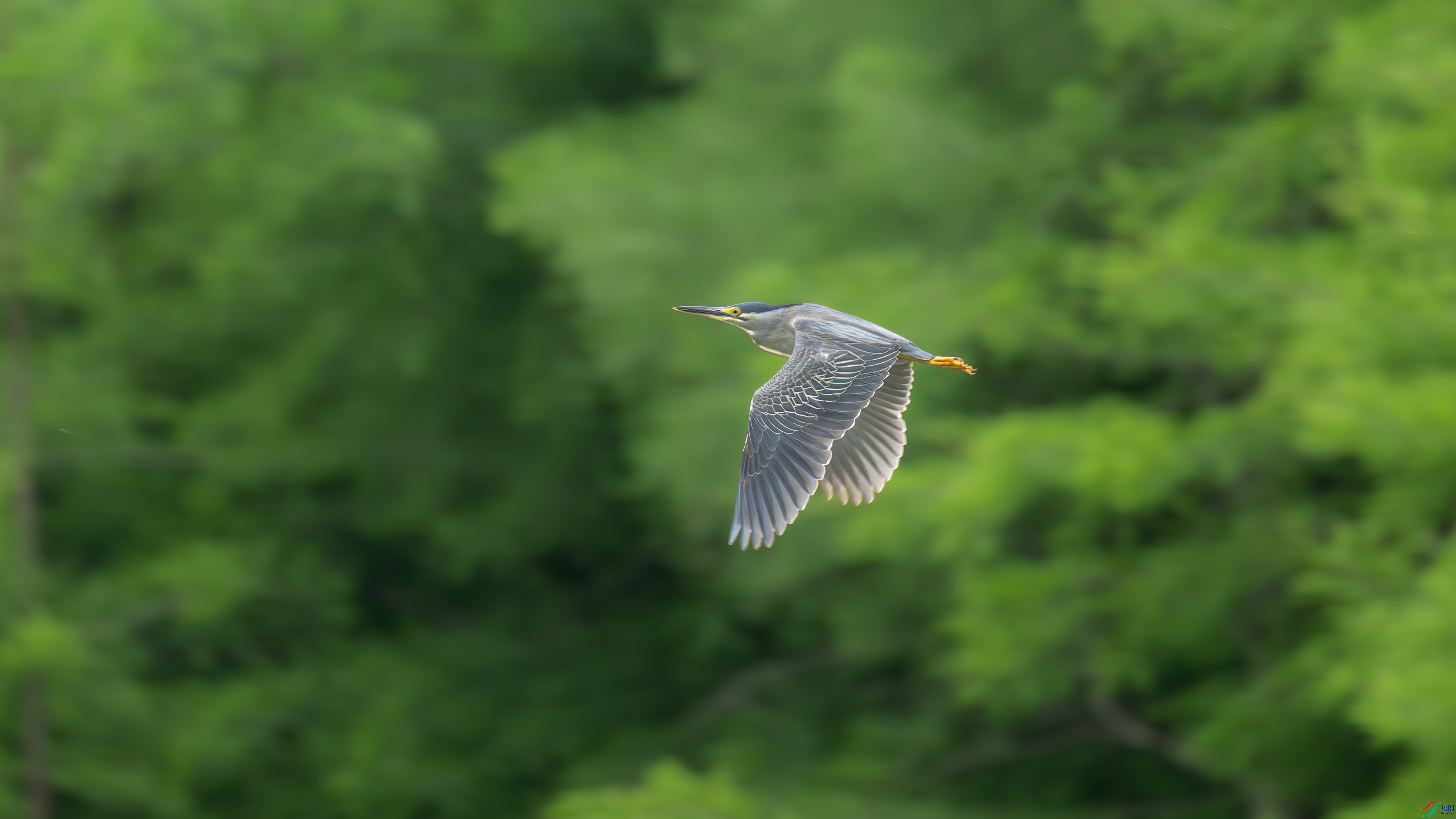 DSC_8588.jpg