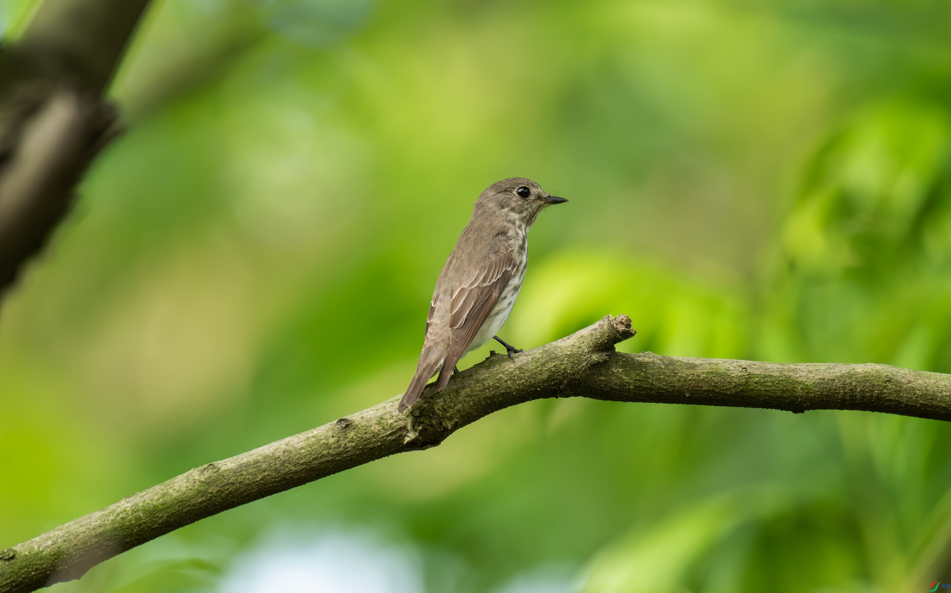 DSC_7689.jpg